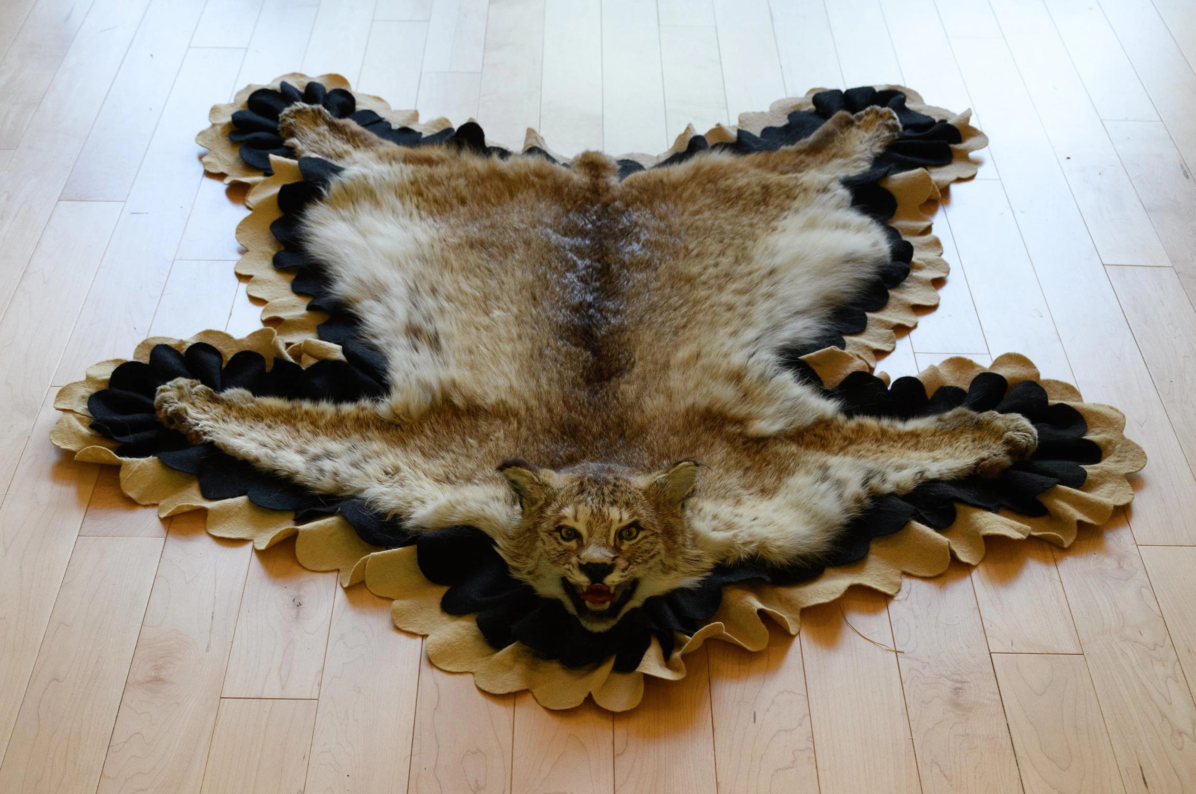 VINTAGE NEW BRUNSWICK BOBCAT TAXIDERMY RUG.