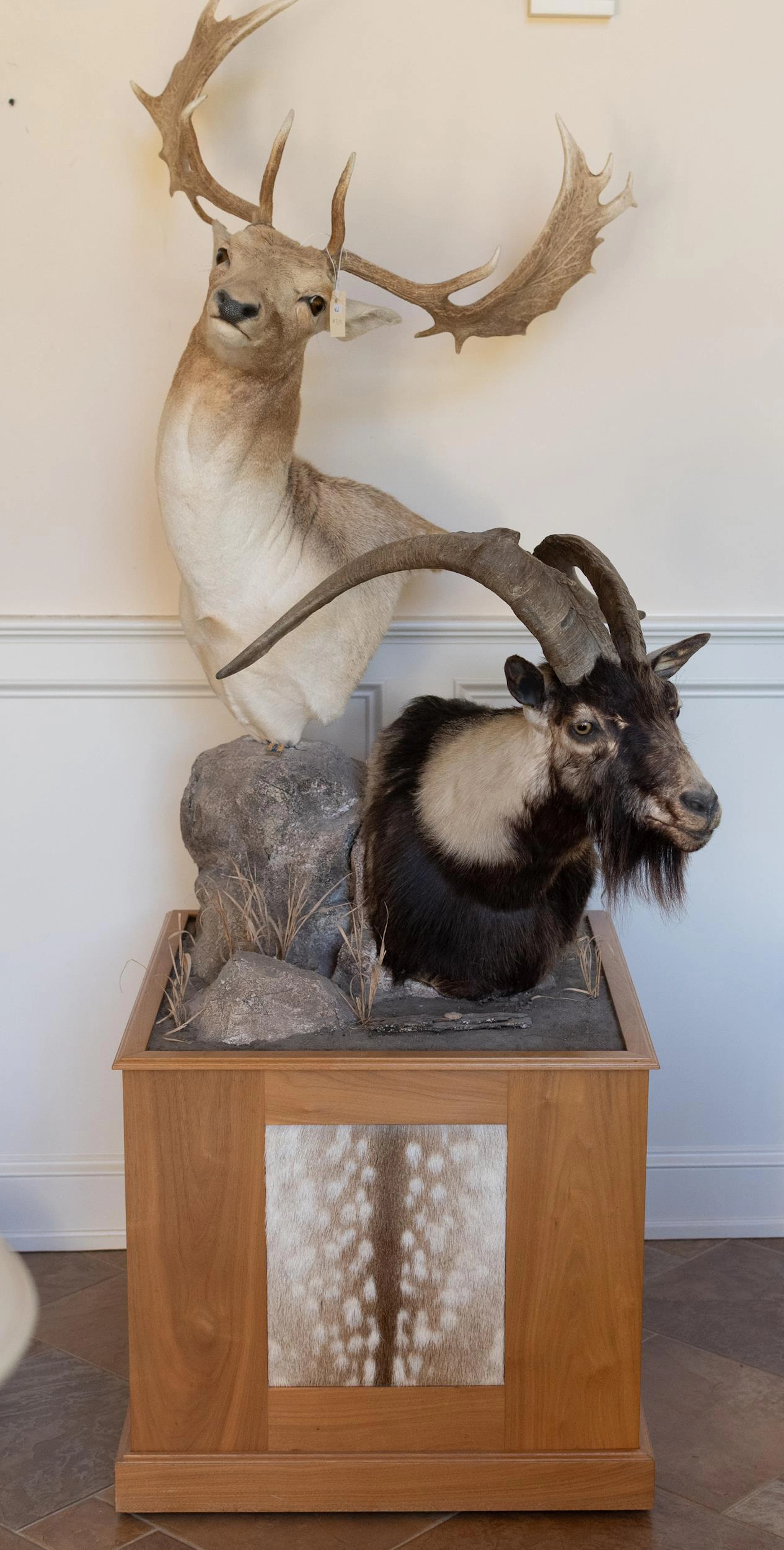 FREESTANDING DOUBLE TAXIDERMY TROPHY MOUNT, 2PCS.