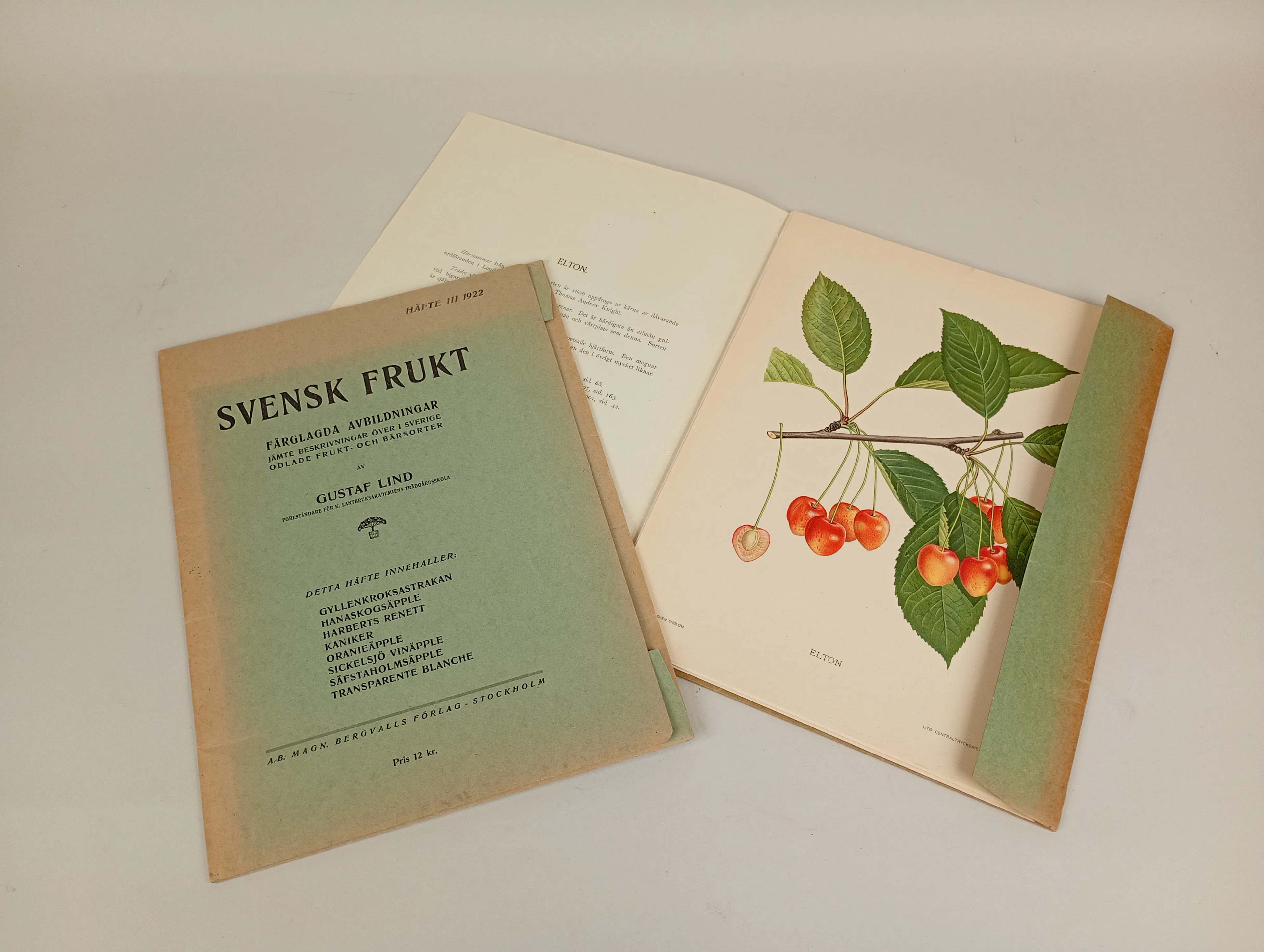Bildsamlingar, "Svensk frukt" Gustaf Lind 1922