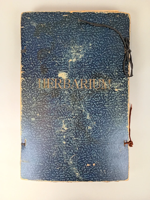 Herbarium