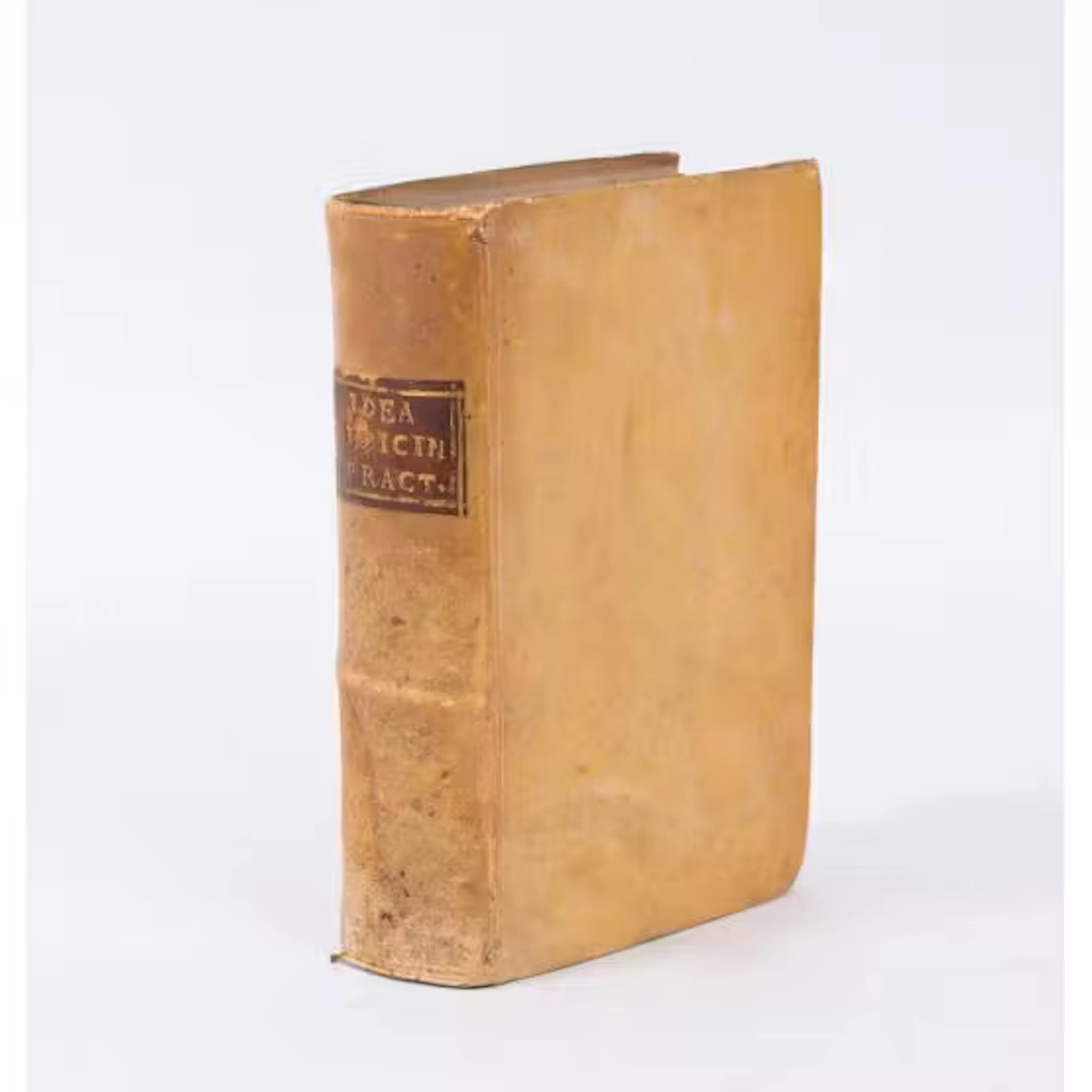 IDEA UNIVERSAE MEDICINAE PRACTICAE