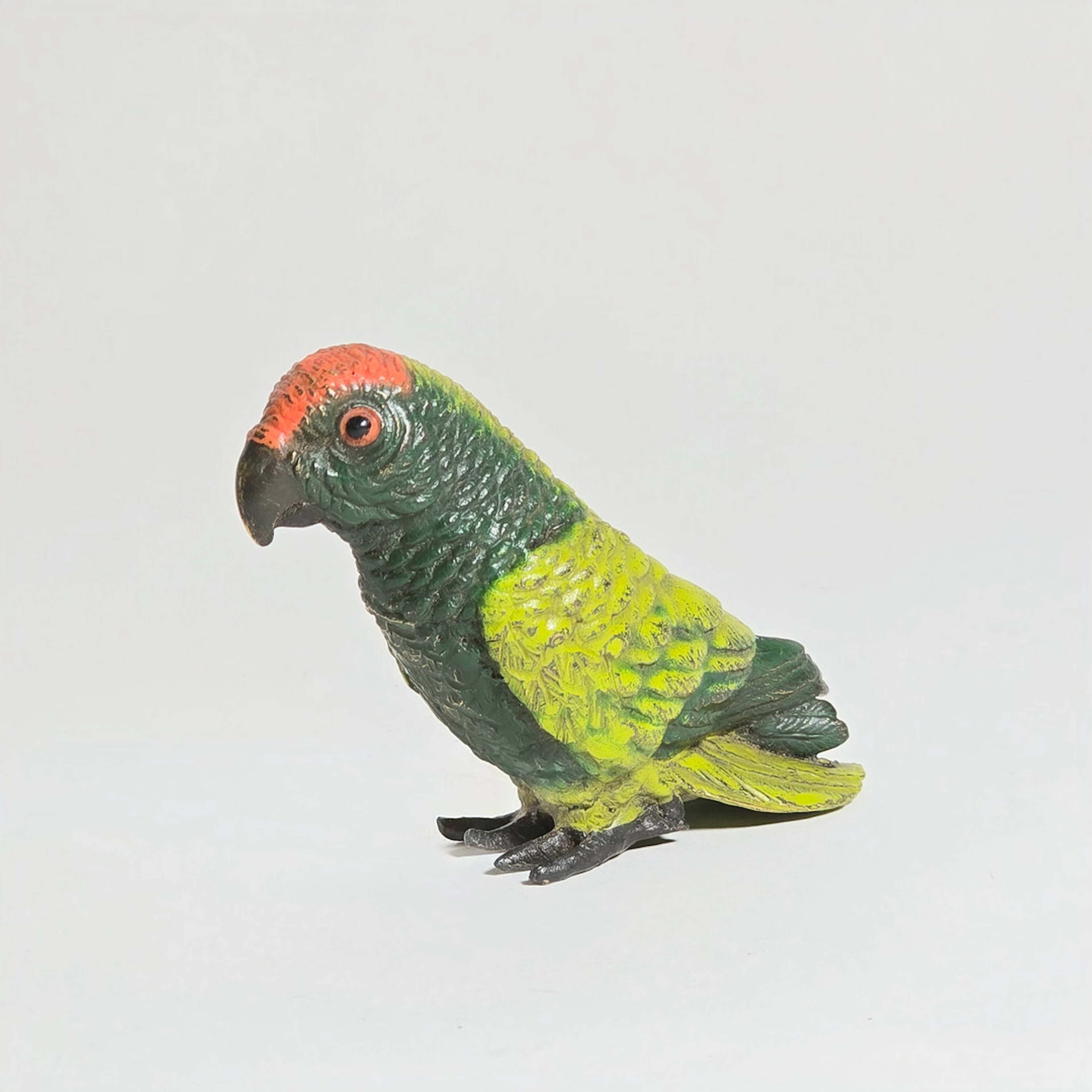 Loro en bronce policromado. franz bergmann (austria). firma en la base.
