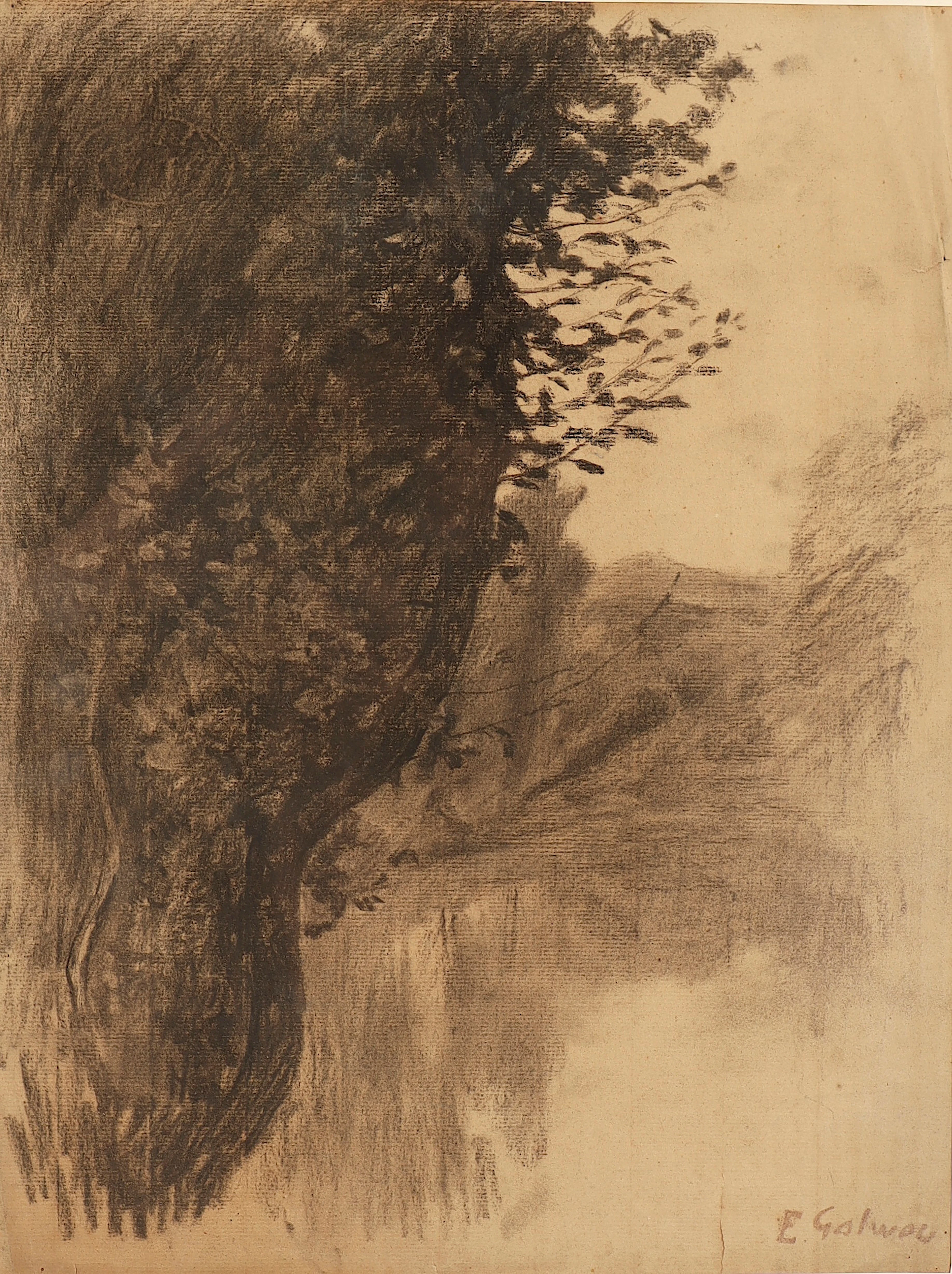 ENRIC GALWEY. Vista fluvial.