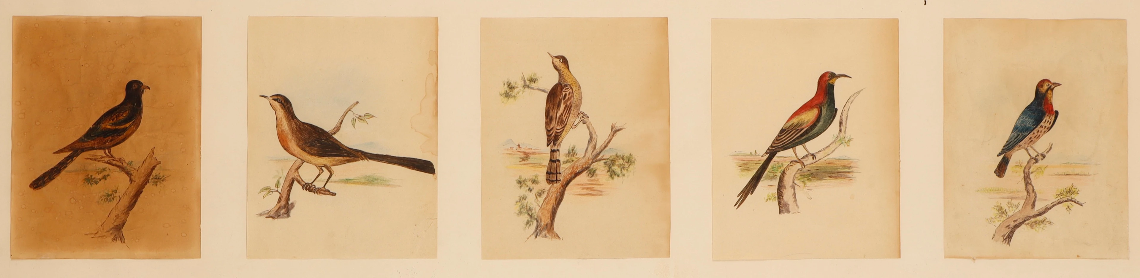 ESCUELA ESPAÑOLA DE PRINCIPIOS DEL SIGLO XX. Aves.