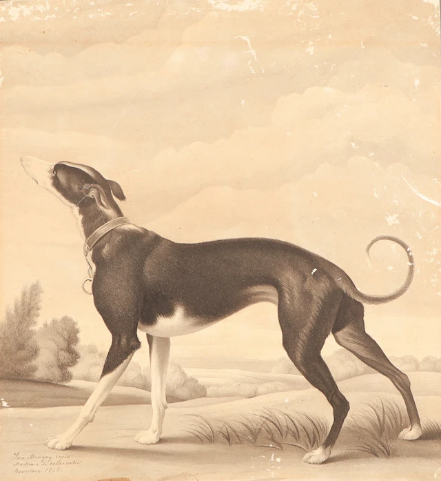 JOSEP MONGAY (1826-1902). "Un galgo al acecho".