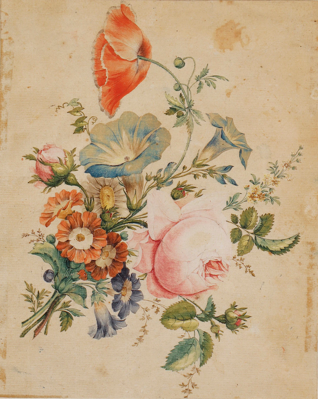 ESCUELA PROBABLEMENTE CENTROEUROPEA, DEL SIGLO XVIII. Flores.