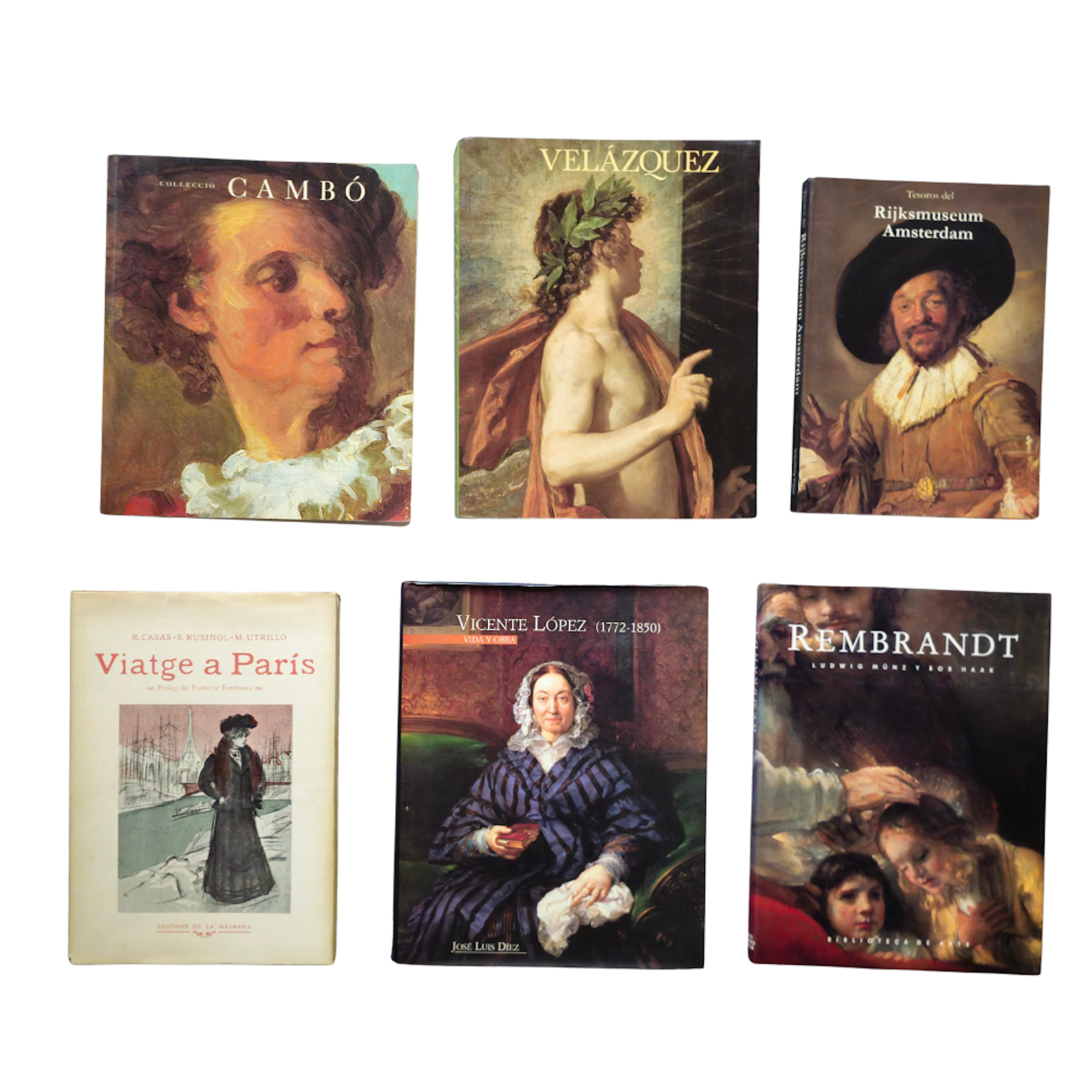 6 TOMOS: COLECCION DE LIBROS DE PINTURA.