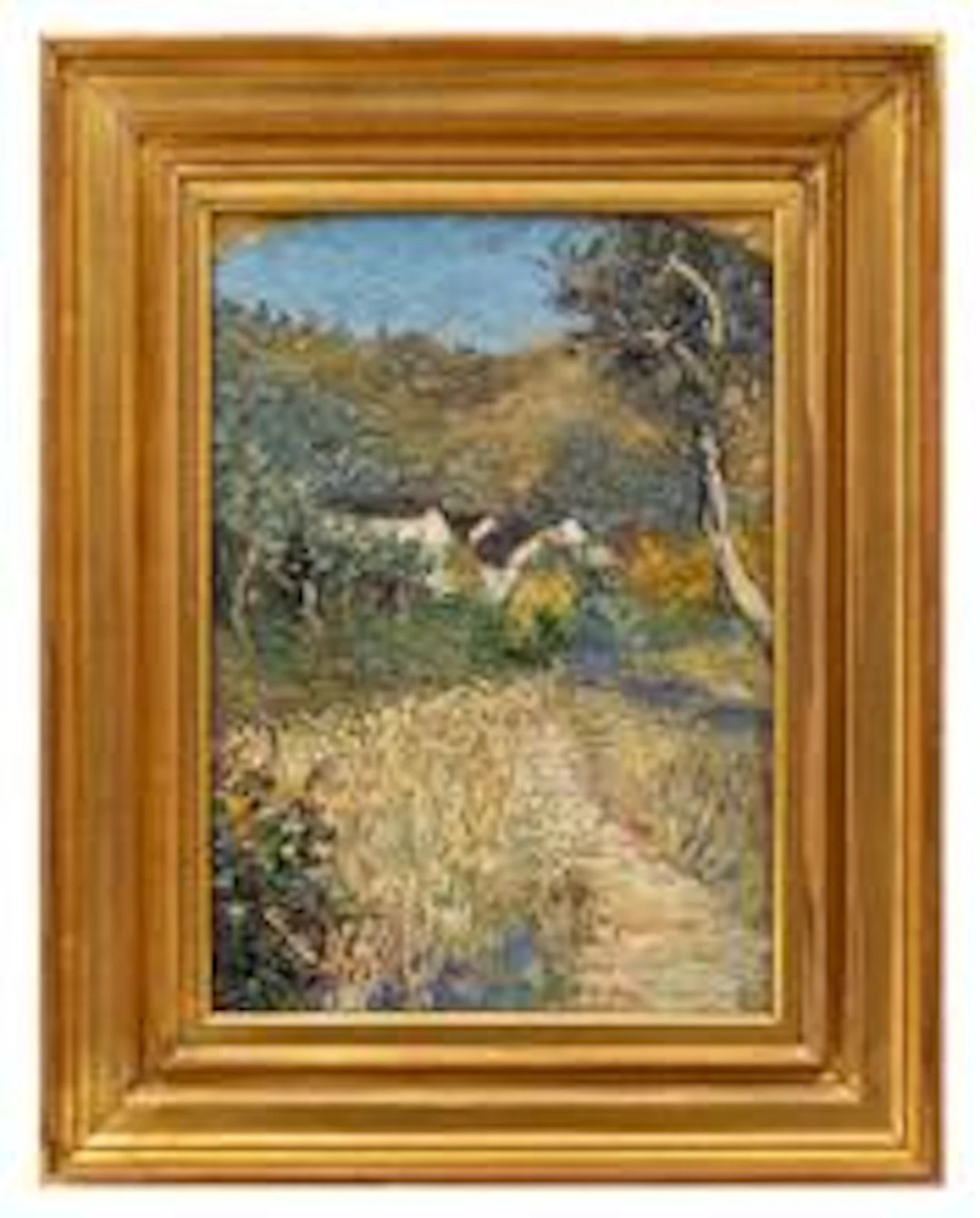 Colori d'autunno