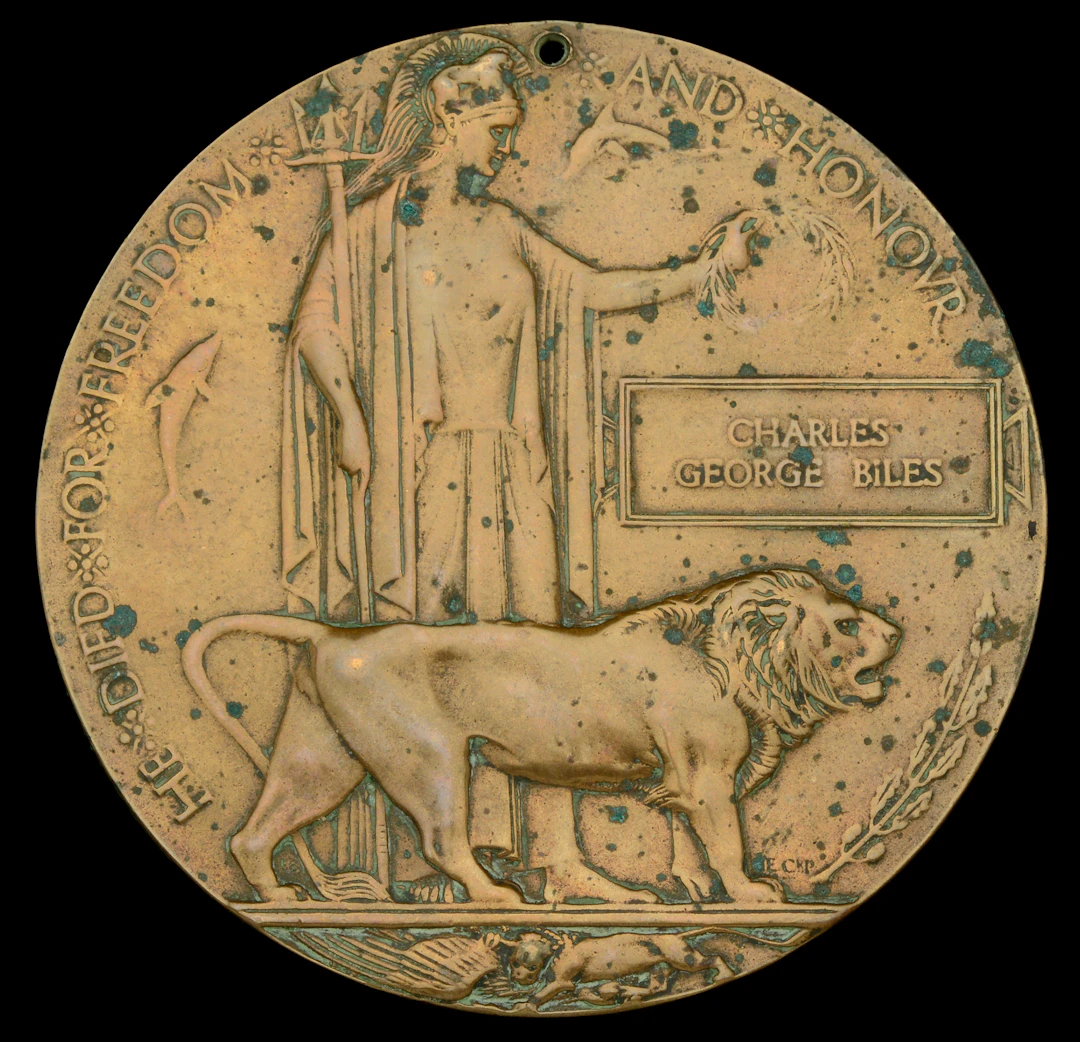 The Memorial Plaque awarded to Able Seaman C. G. Biles, Royal Navy