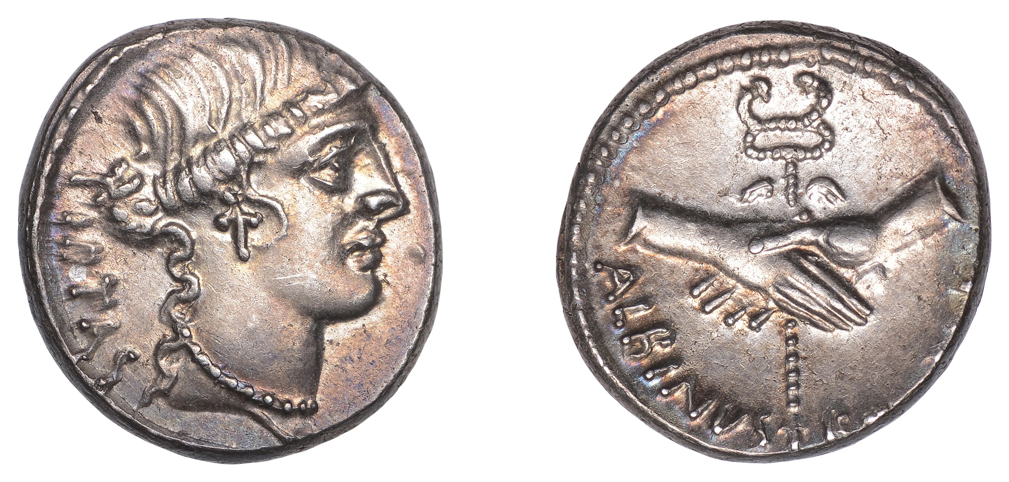 Roman Republican Coinage, D. Junius Brutus D.f. Albinus, Denarius