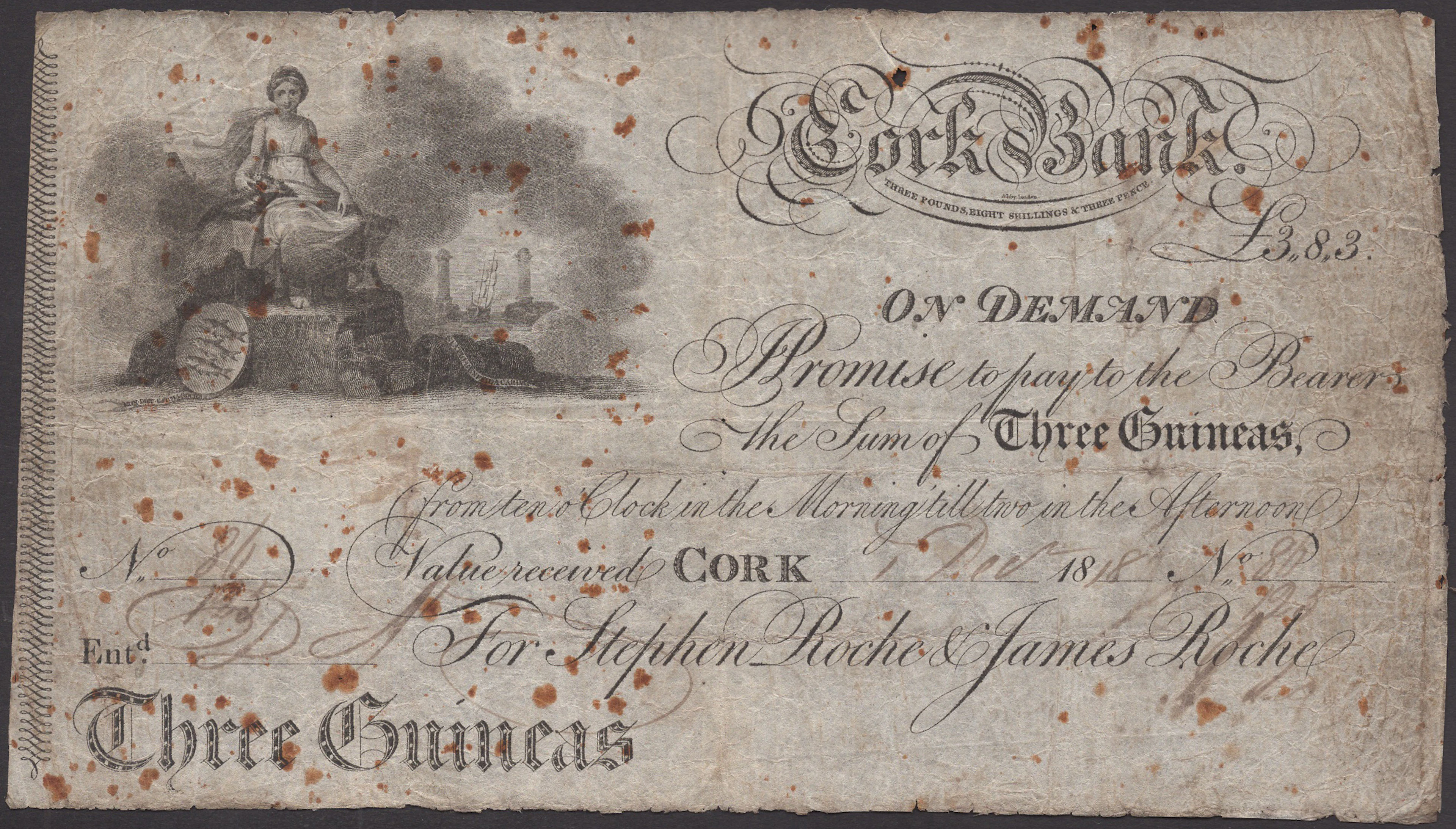 Roche’s Cork Bank, for Stephen Roche & James Roche, 3 Guineas, 1 December