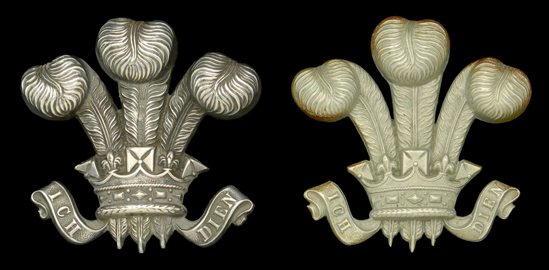 3rd (Prince of Wales’) Dragoon Guards, or 10th (Prices of Wales’ Own)