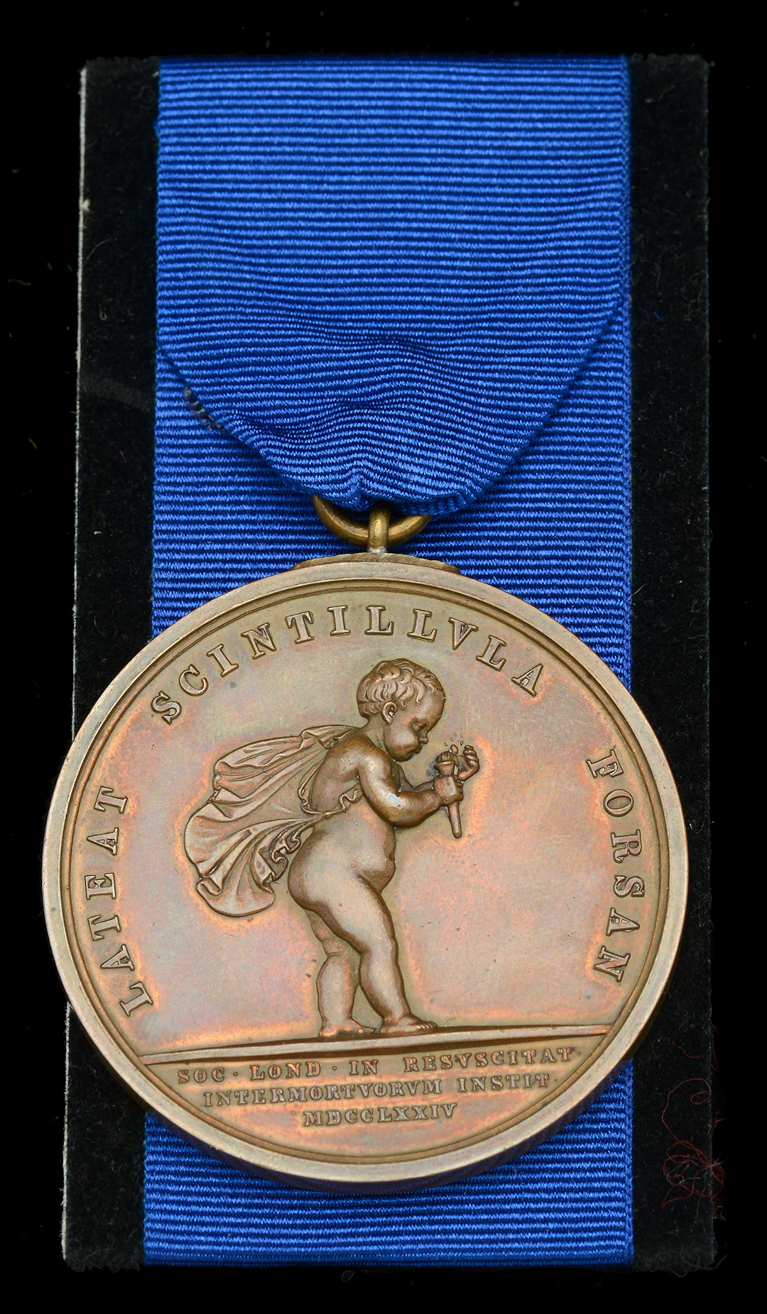 Royal Humane Society, large bronze medal (successful) (C. A. Evans.