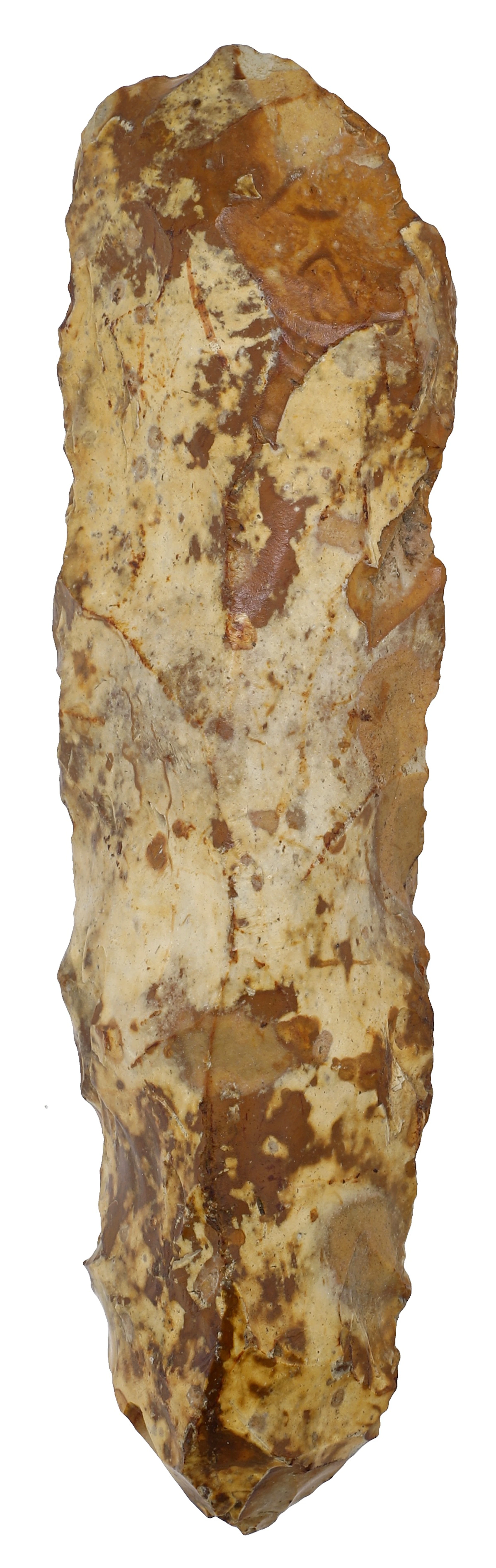 Mesolithic, 10,000-4,000 BC, flint tranchet or hand axe of ‘Thames