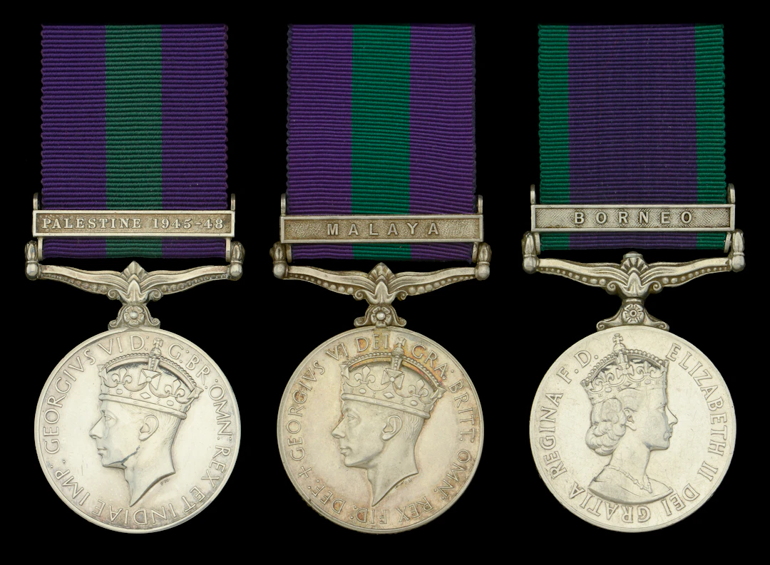 General Service 1918-62, 1 clasp (2), Palestine 1945-48 (14828136