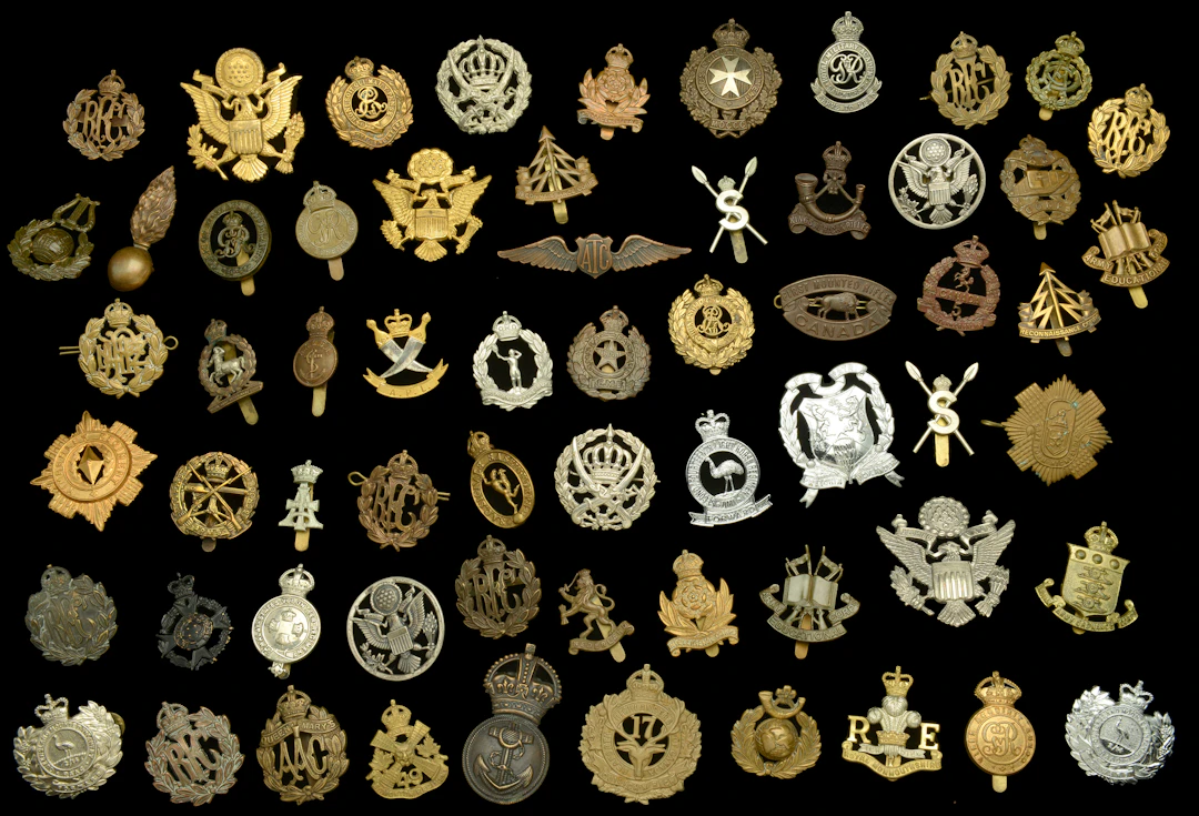 Assorted British, Commonwealth and Foreign Insignia. A good and large