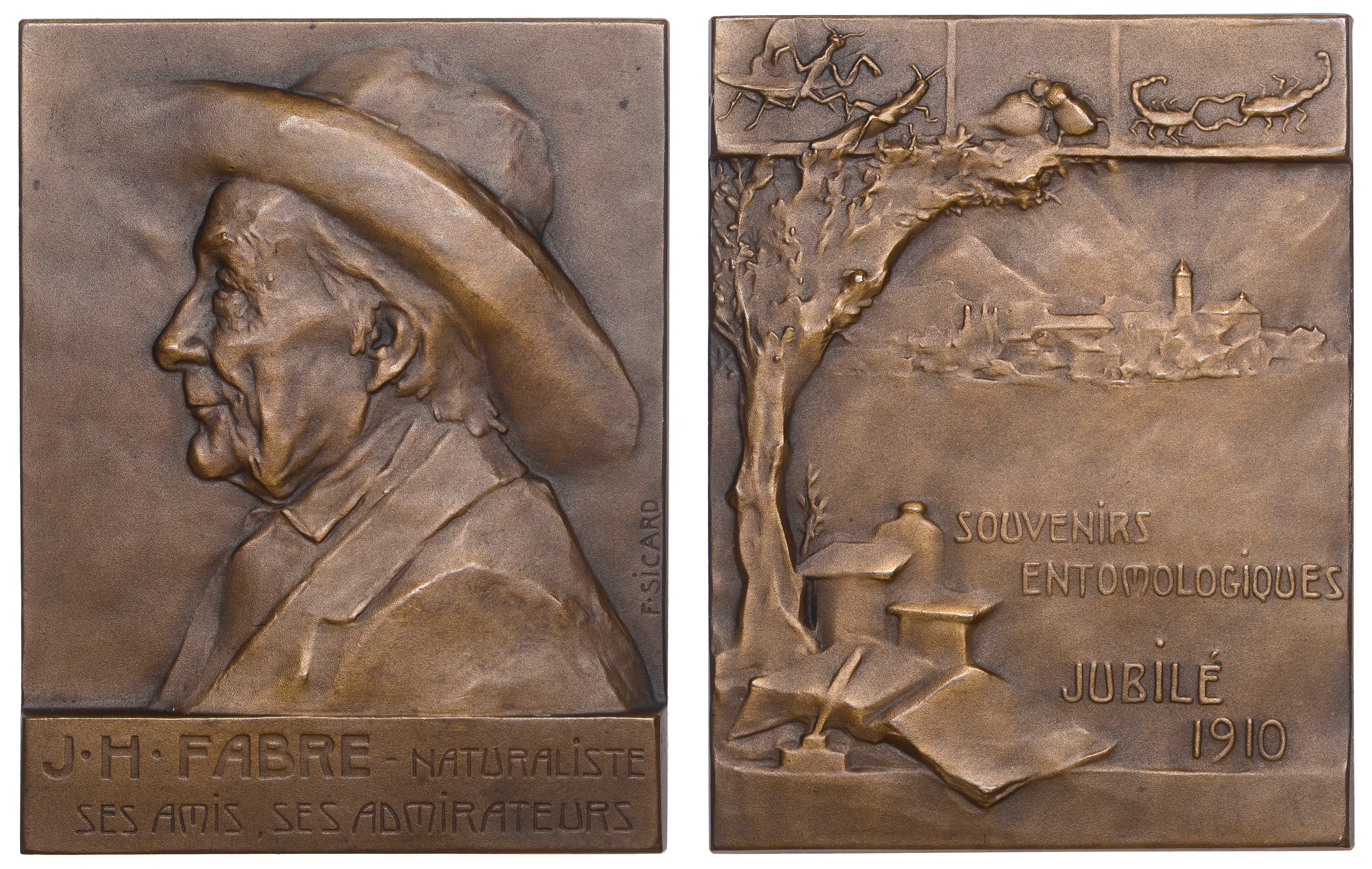FRANCE, Jean-Henri Fabre, 1910, a bronze plaque by F.-L. Sicard, bust