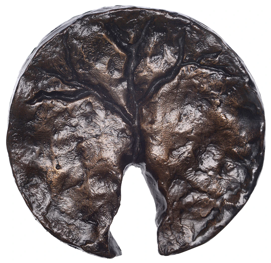 AUSTRALIA, Erosion, 1992, a uniface cast bronze medal by M.V. Meszaros