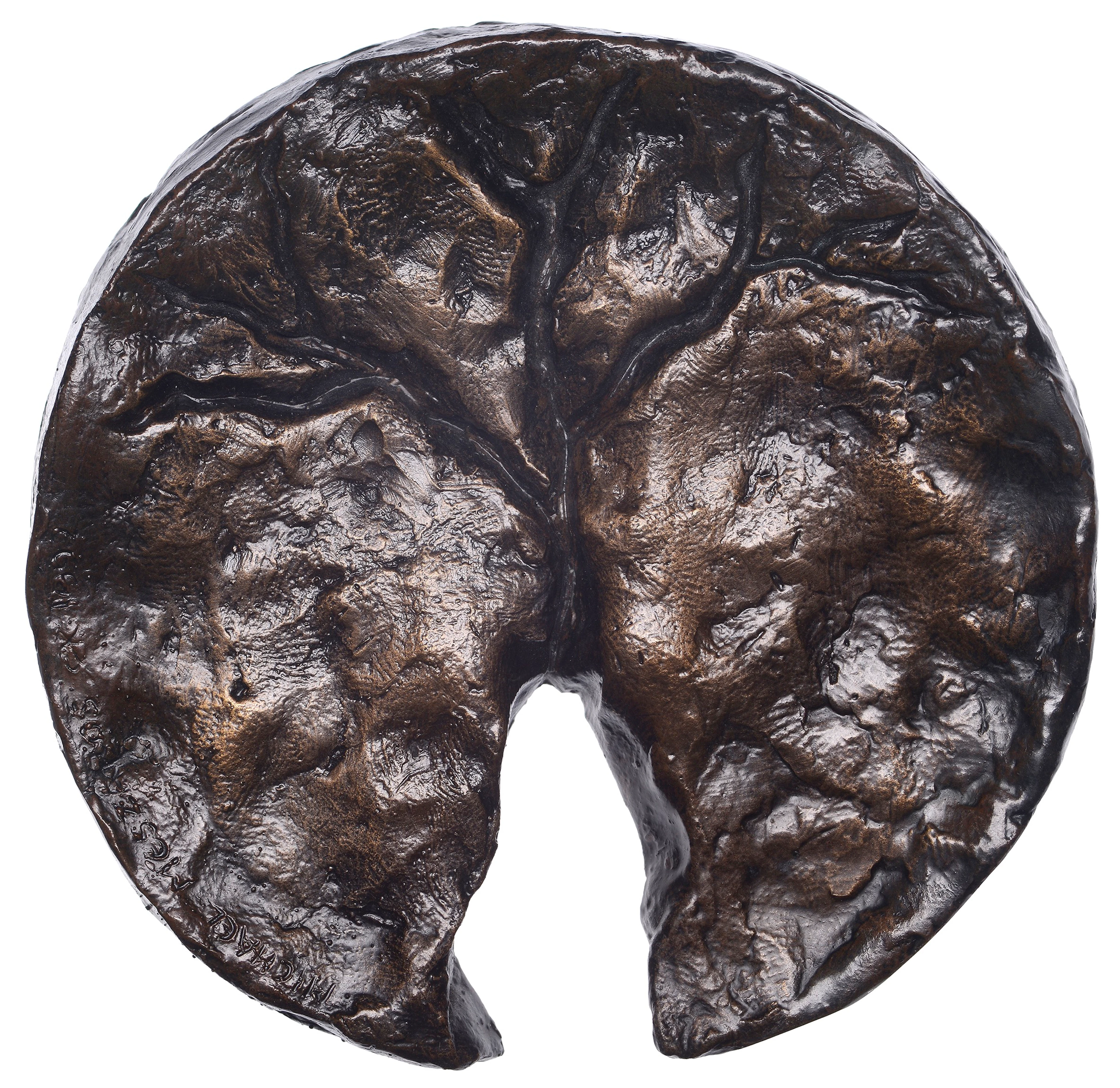AUSTRALIA, Erosion, 1992, a uniface cast bronze medal by M.V. Meszaros