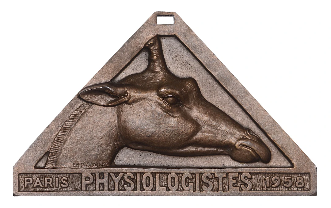FRANCE, Physiologistes, Paris, 1958, a uniface triangular bronze plaque