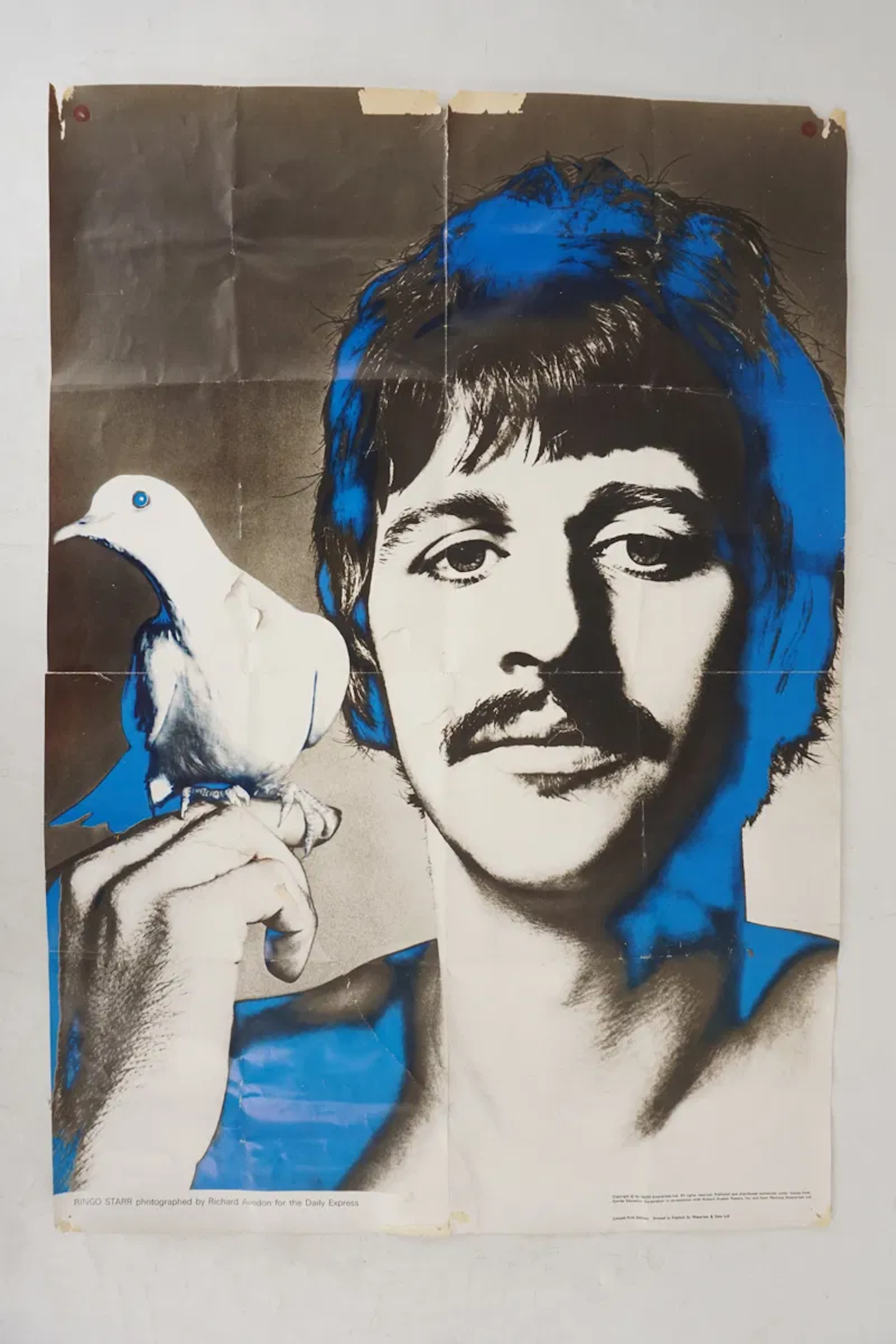 Ringo Starr Psykedelisk affisch. A194