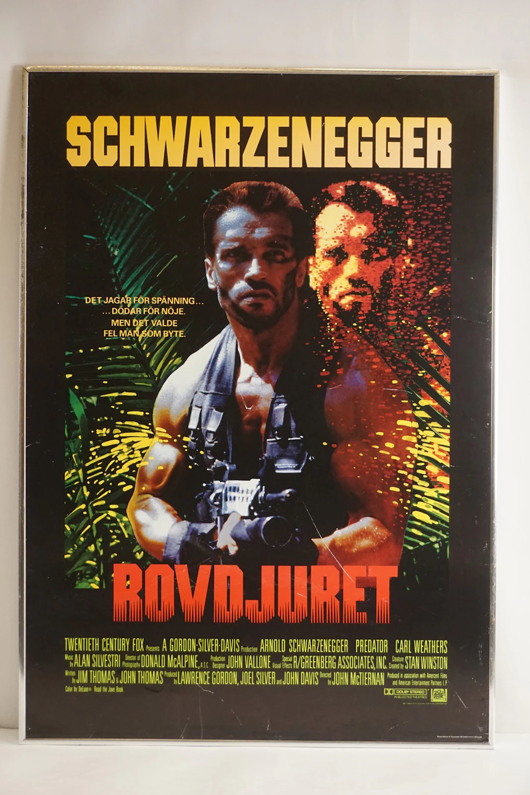 Rovdjuret, Schwarzenegger, 71x101. M19