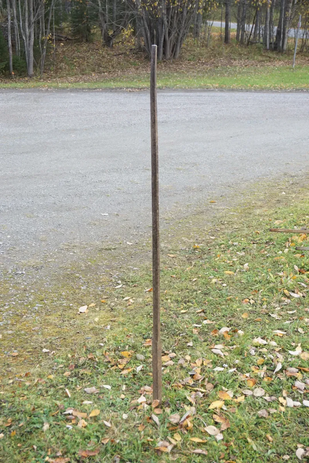 Järnspett 153cm. B27