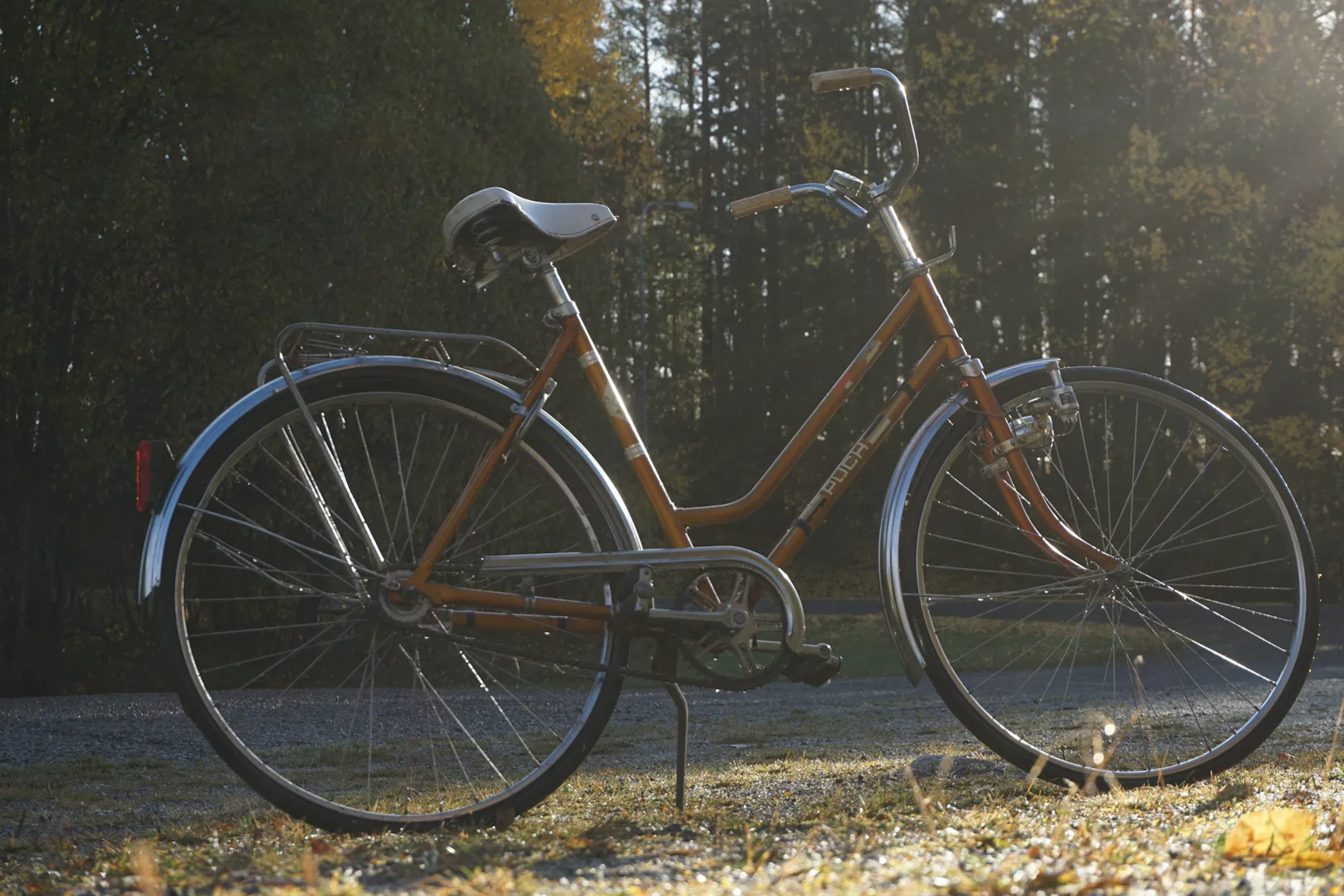 Puch Damcykel. B342