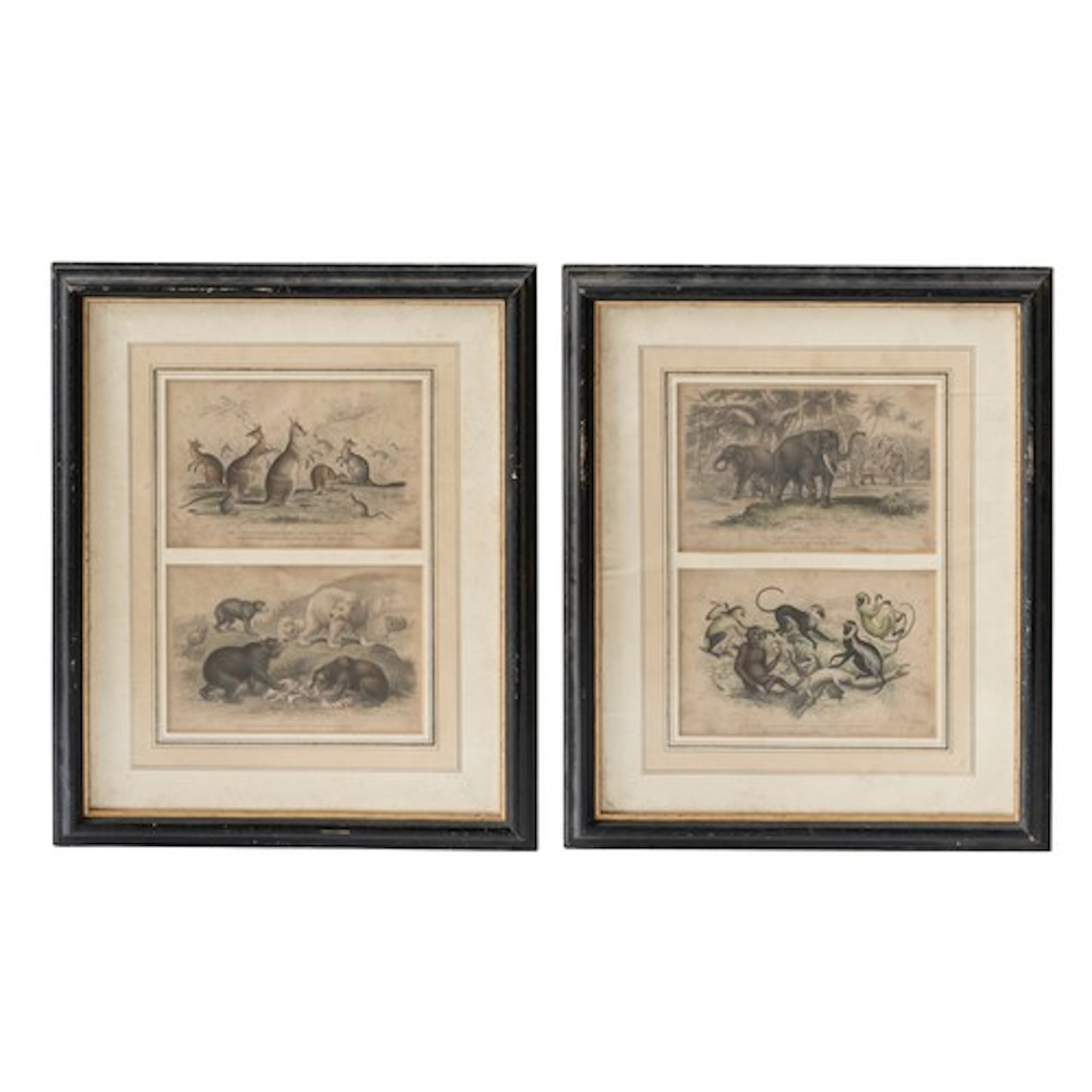 AFTER JAMES STEWART (British, 1791-1863) FOUR ZOOLOGICAL ENG...