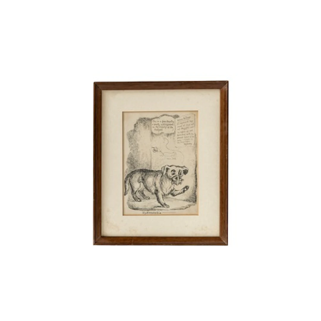 'HYDROPHOBIA' SATIRICAL ETCHING CIRCA 1830 glazed and framed...
