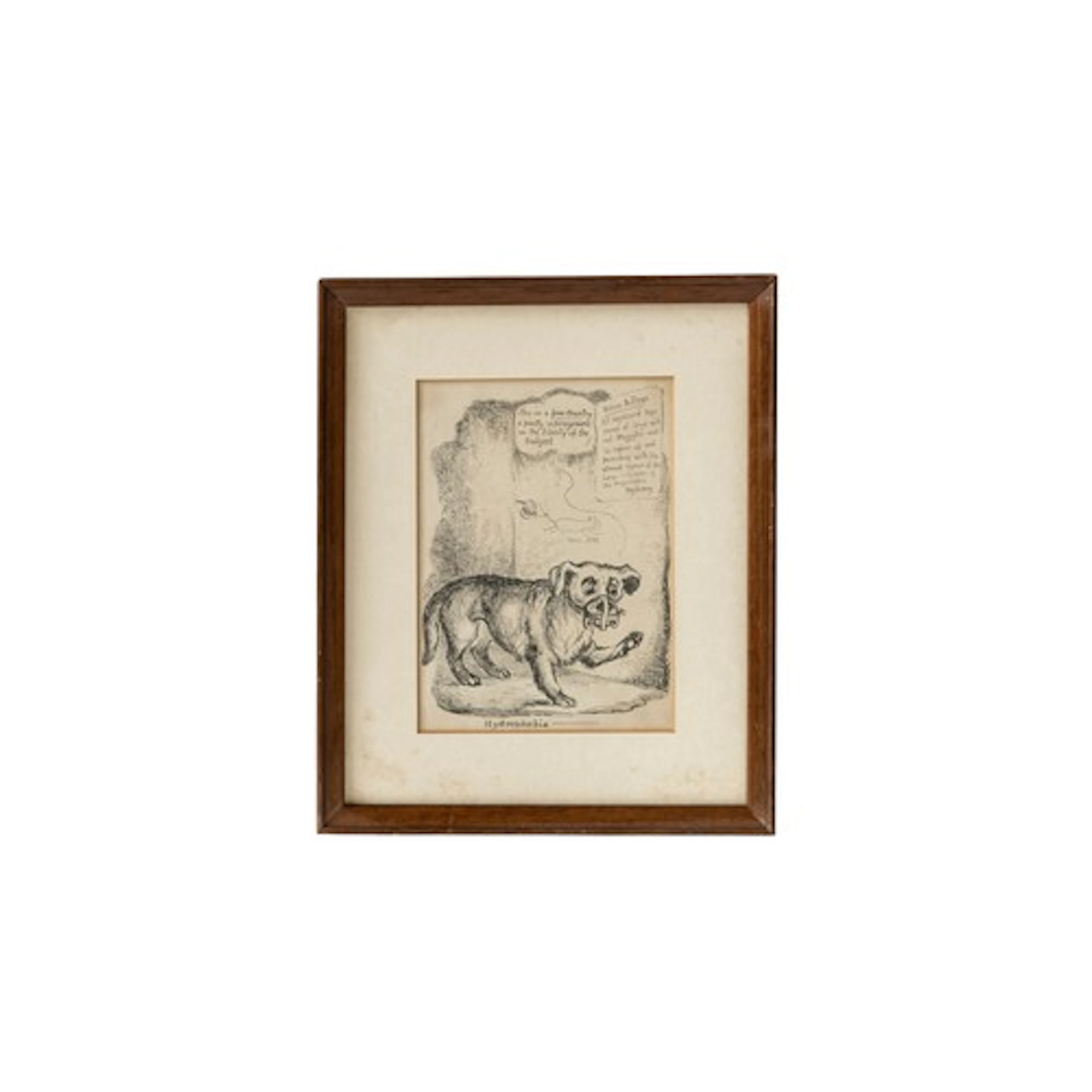 'HYDROPHOBIA' SATIRICAL ETCHING CIRCA 1830 glazed and framed...