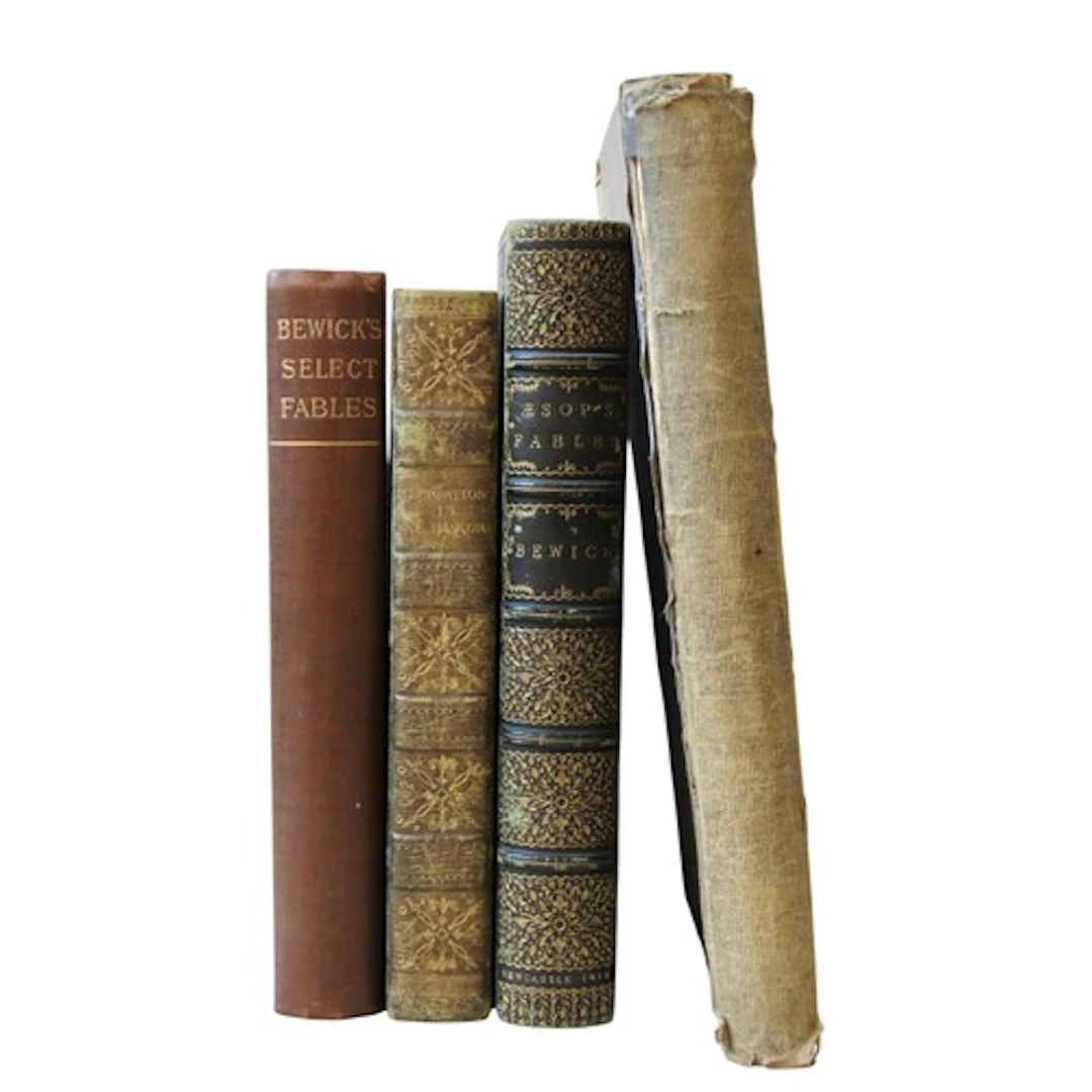 BEWICK (THOMAS) RECREATIONS IN NATURAL HISTORY London, 1815 ...