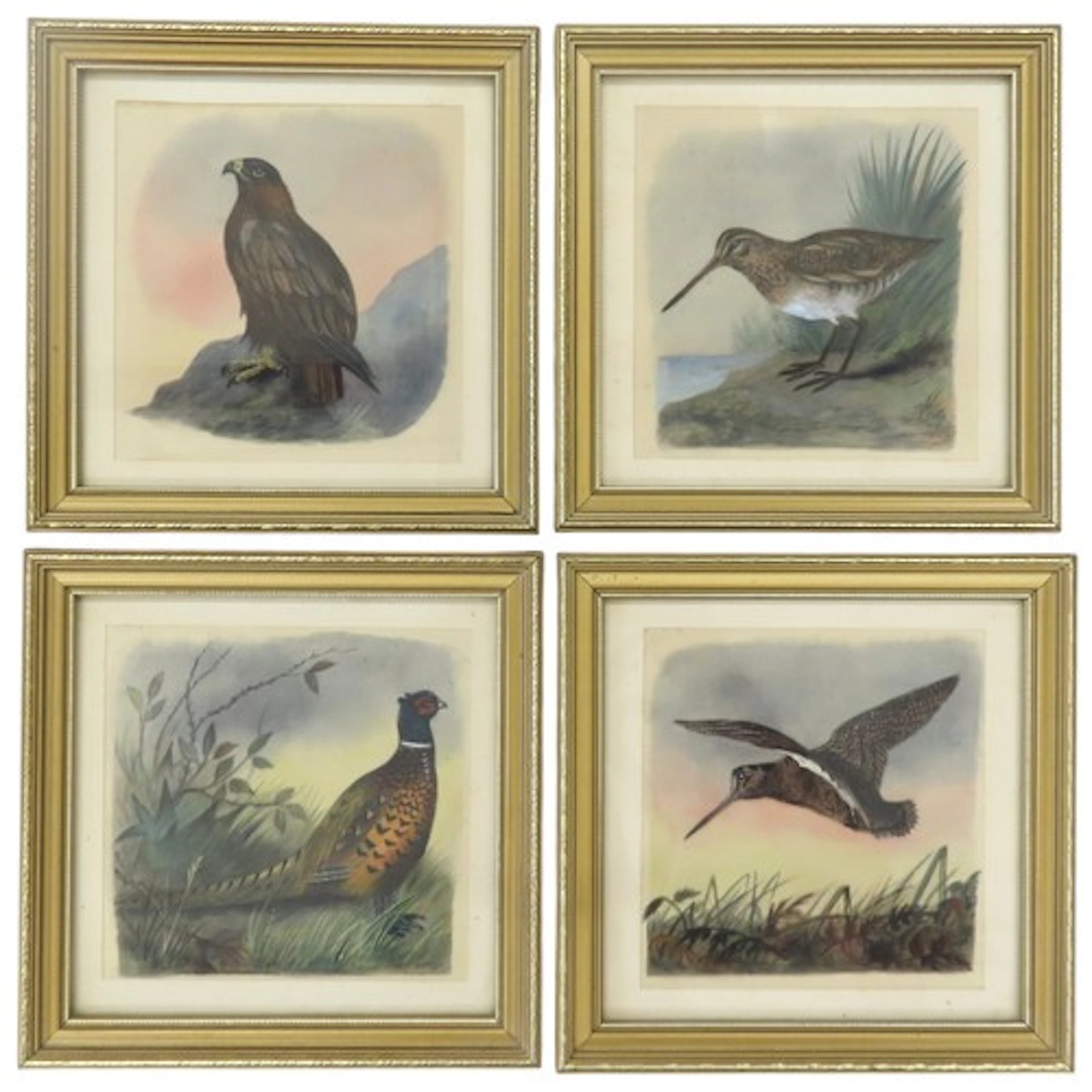 A SET OF FOUR ORNITHILOGICAL PAINTINGS ON SILK depicting an ...