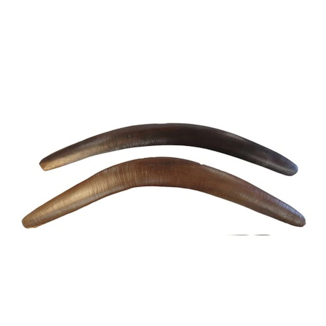 AN ABORIGINAL BOOMERANG with chip carved and polished finish...