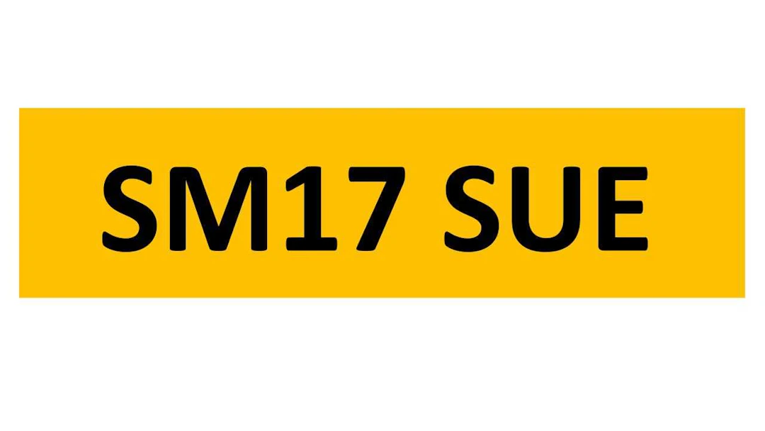 REGISTRATION ON RETENTION - SM17 SUE