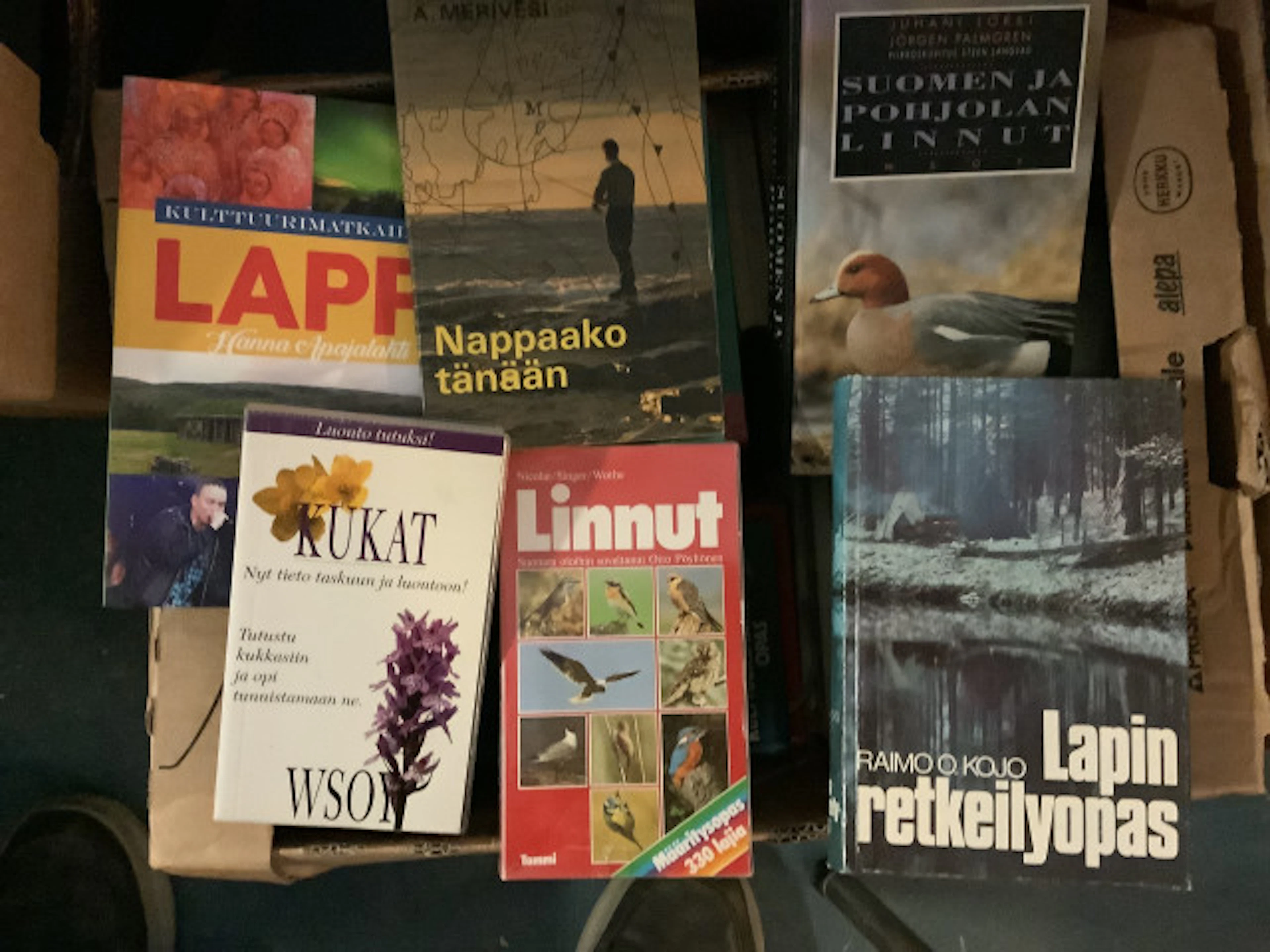 40 - Laatikollinen sekalaista kirjallisuutta