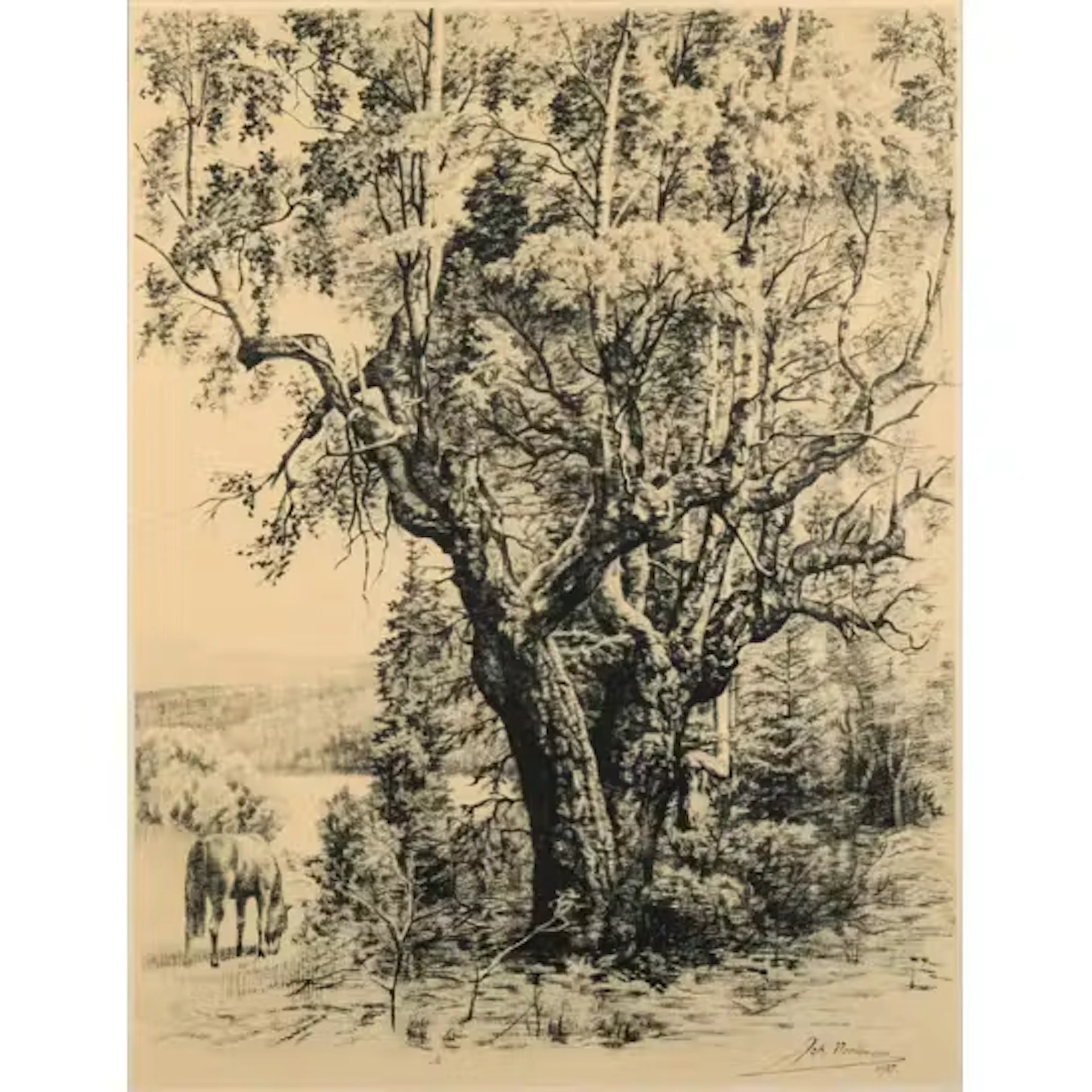 JOHAN NORDHAGEN (1856-1956)
