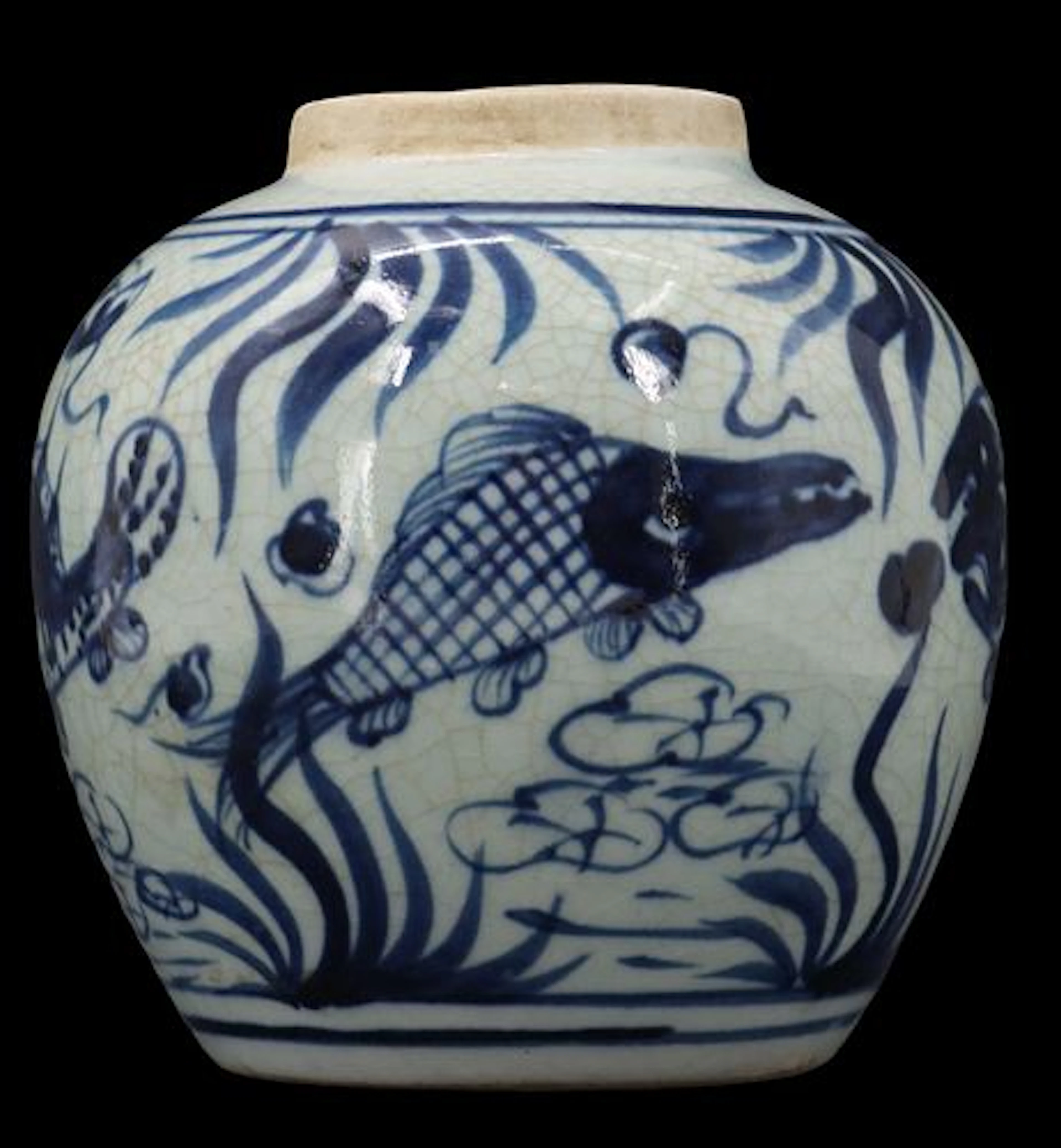 Chinese Blue and White Porcelain Fish Motif Pot