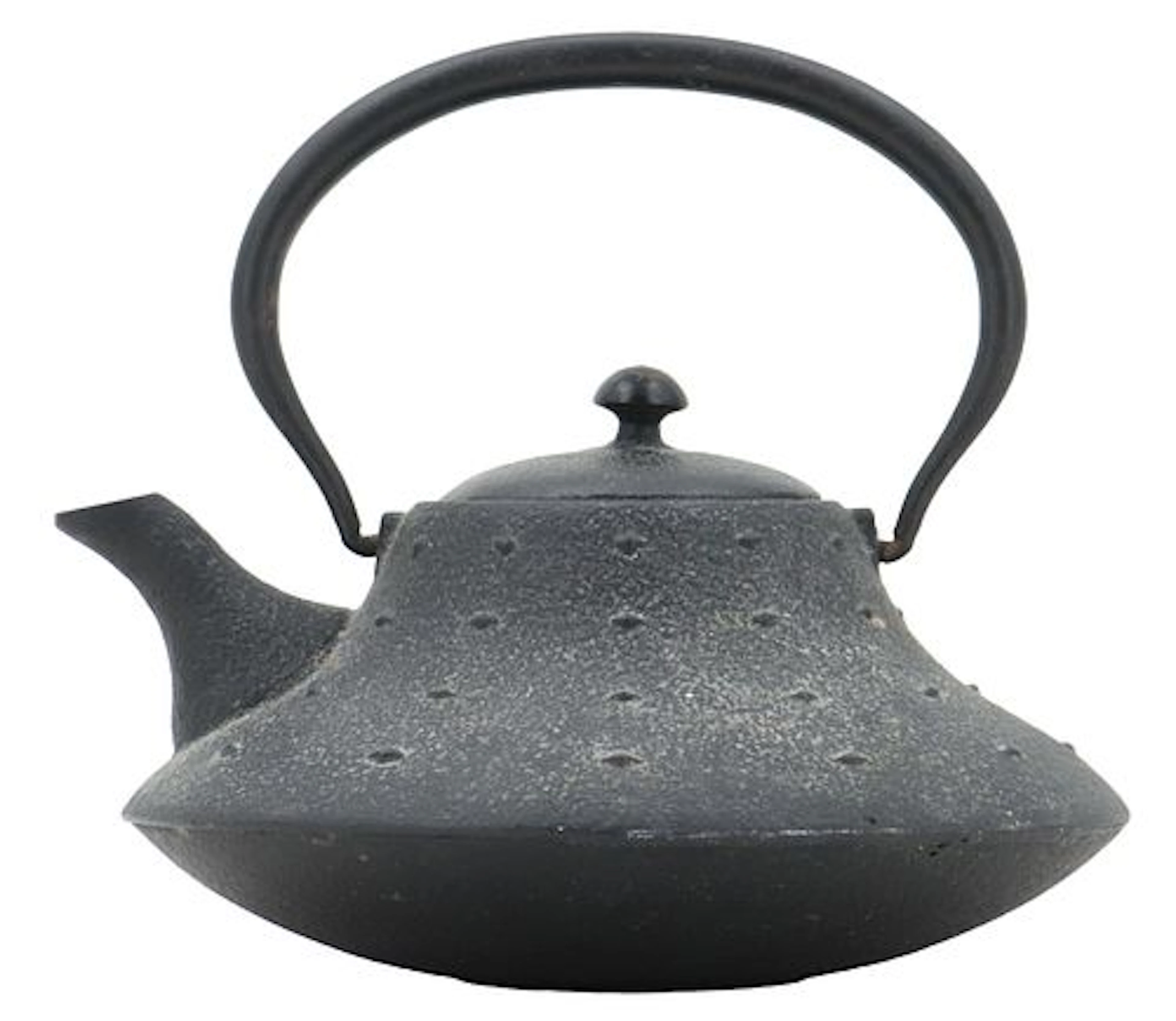 Japanese Tetsubin Cast Iron Teapot