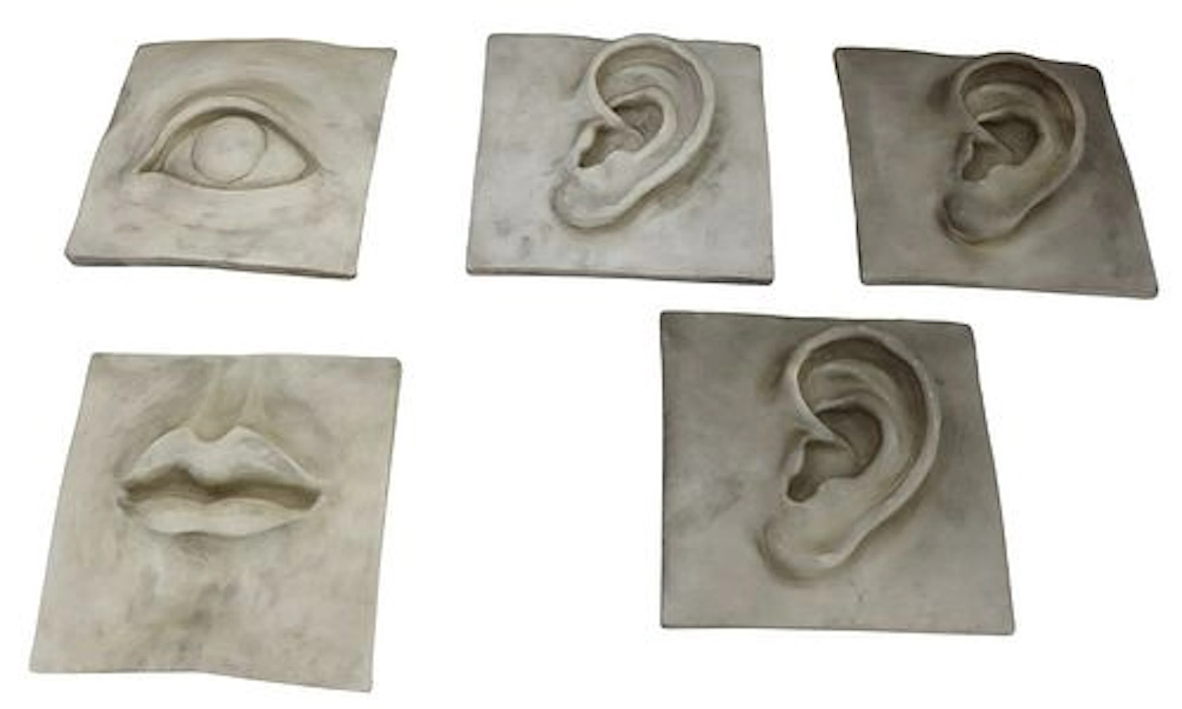 (5) Molded Plaster Composite Hanging Wall Sculpture - Ears, Eye, Mouth