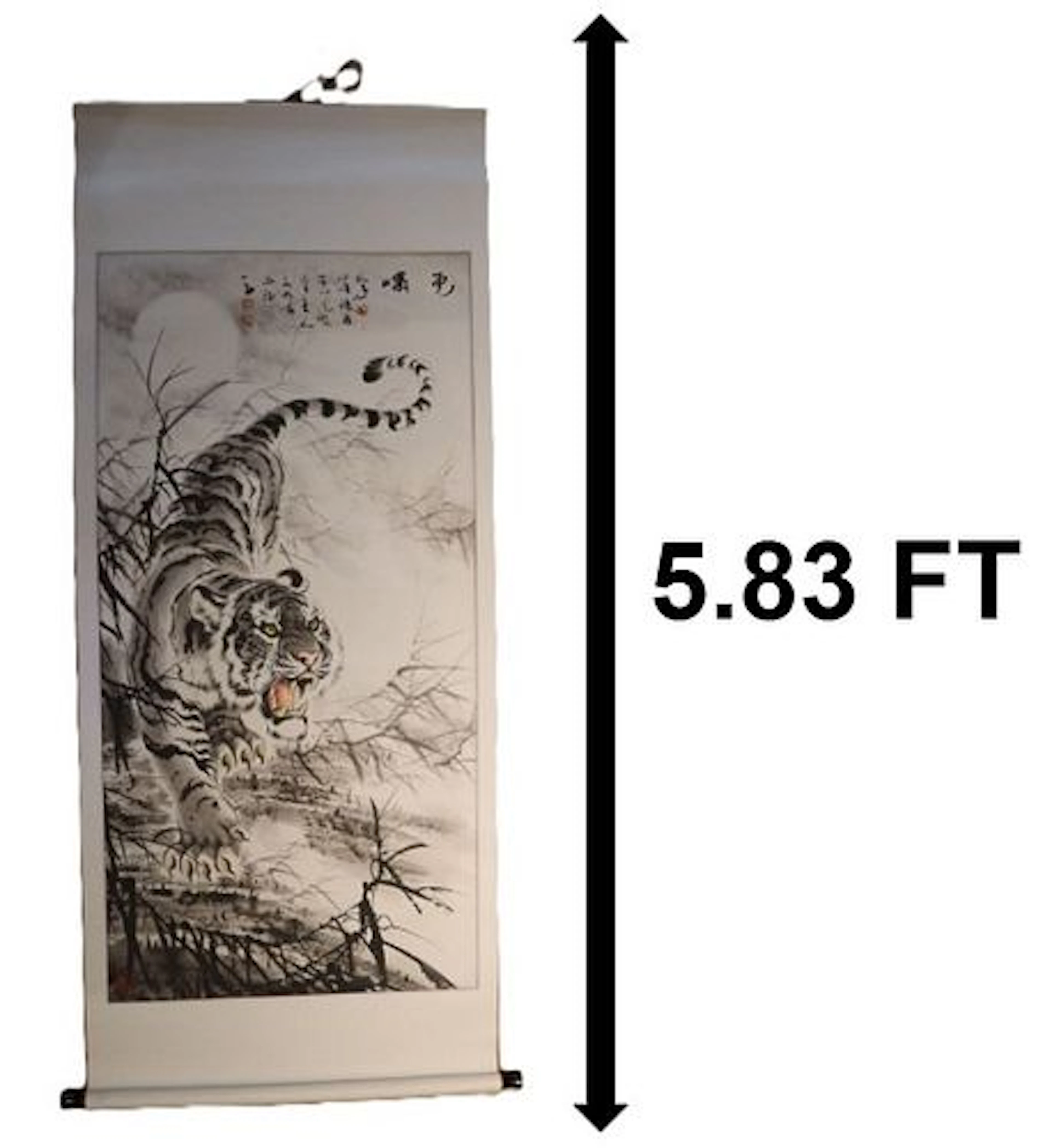Chinese Ink and Wash Hanging Scroll of Tiger