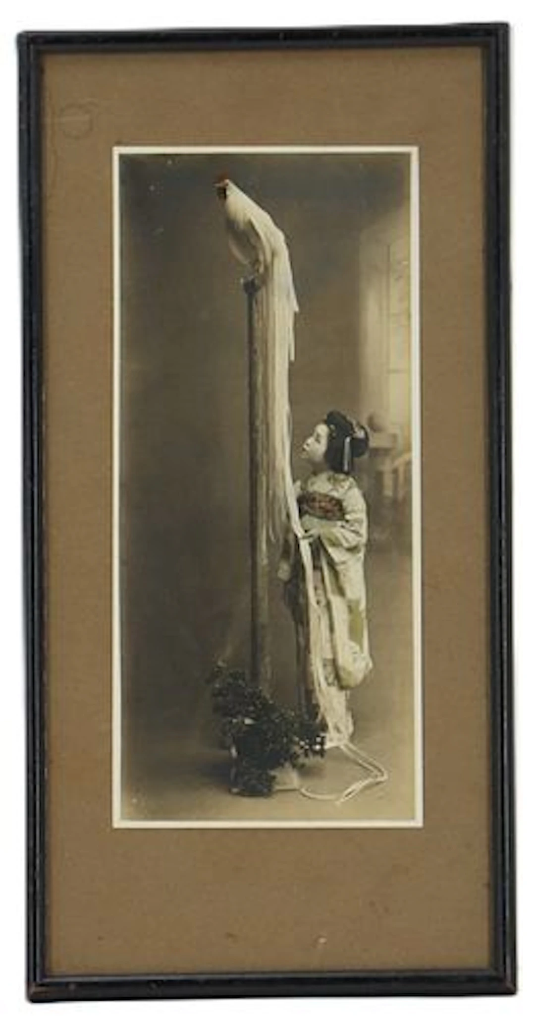 Vintage Japanese Photograph of Girl With "Bird of Paradise" Long-Tailed Chicken