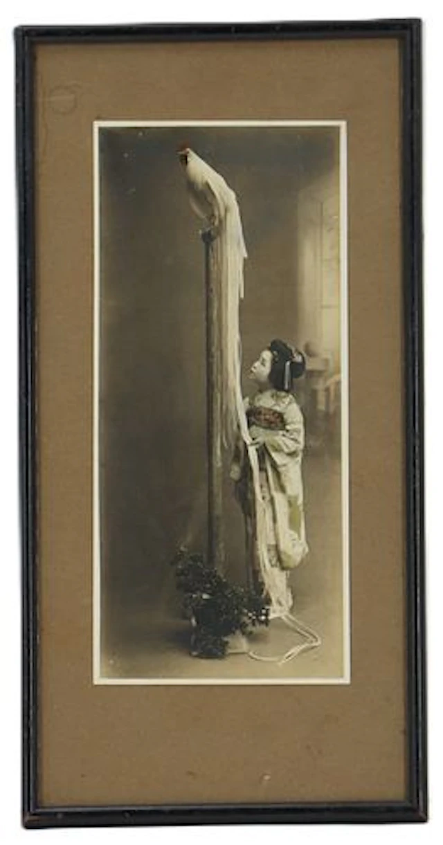 Vintage Japanese Photograph of Girl With "Bird of Paradise" Long-Tailed Chicken