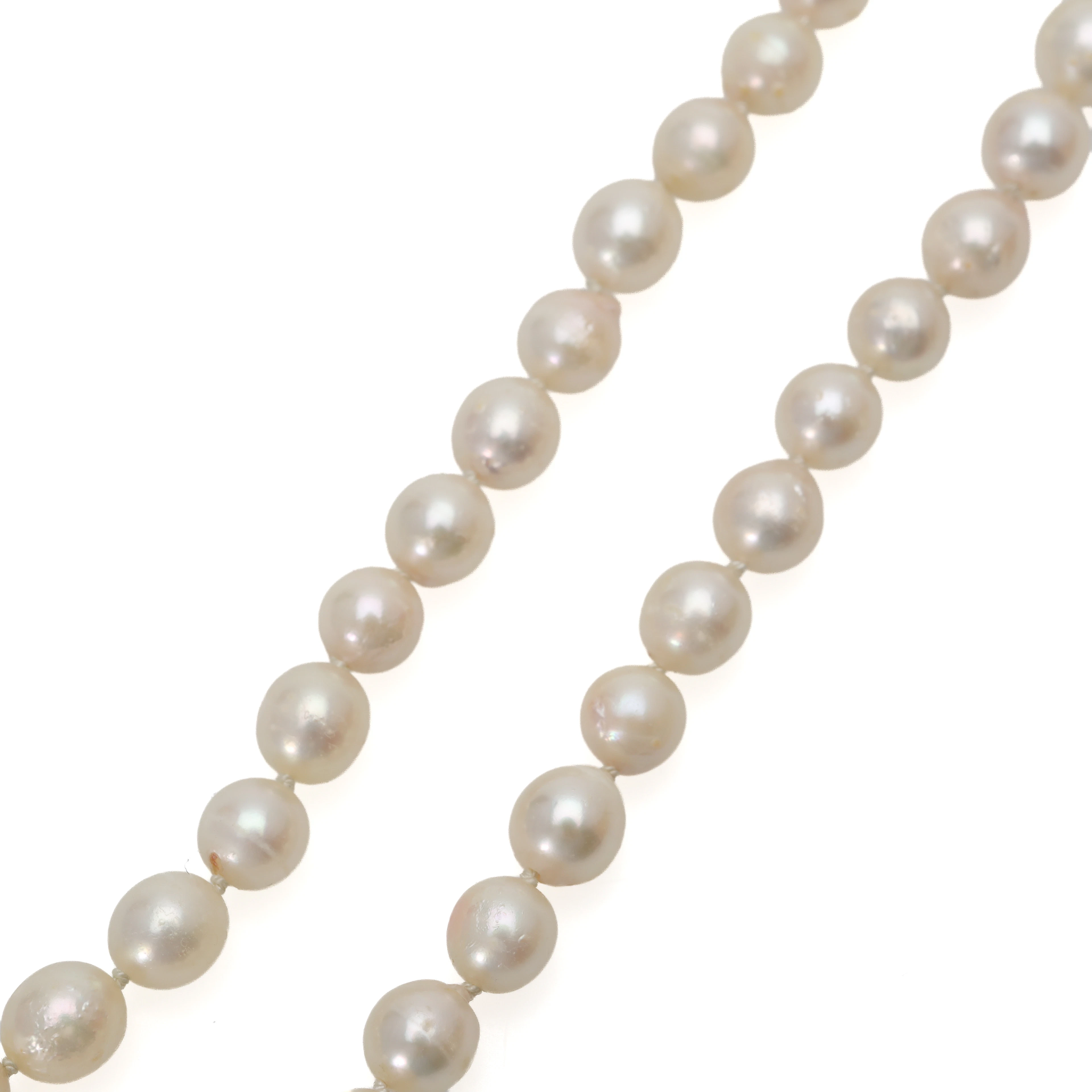 COLLIER, odlade saltvattenspärlor, lås i silver, längd 48 cm.