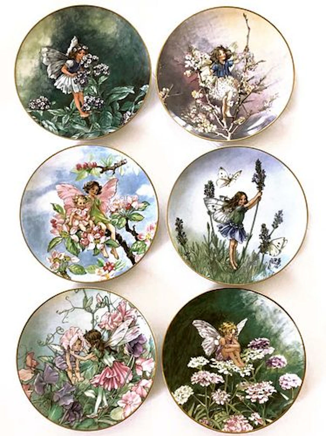The Flower Fairies Collection, Heinrich Set of 6 Plates