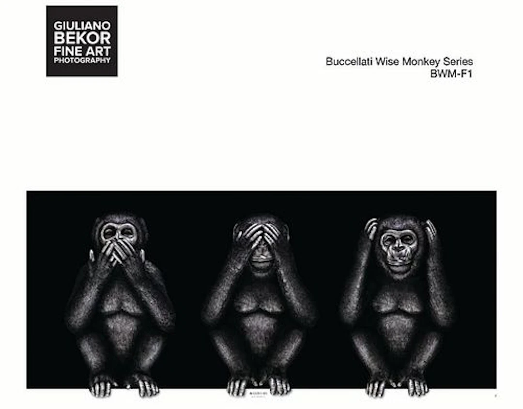 A Giuliano Bekor Fine Art Photography, Buccellati Wise Monkey BWM-F1