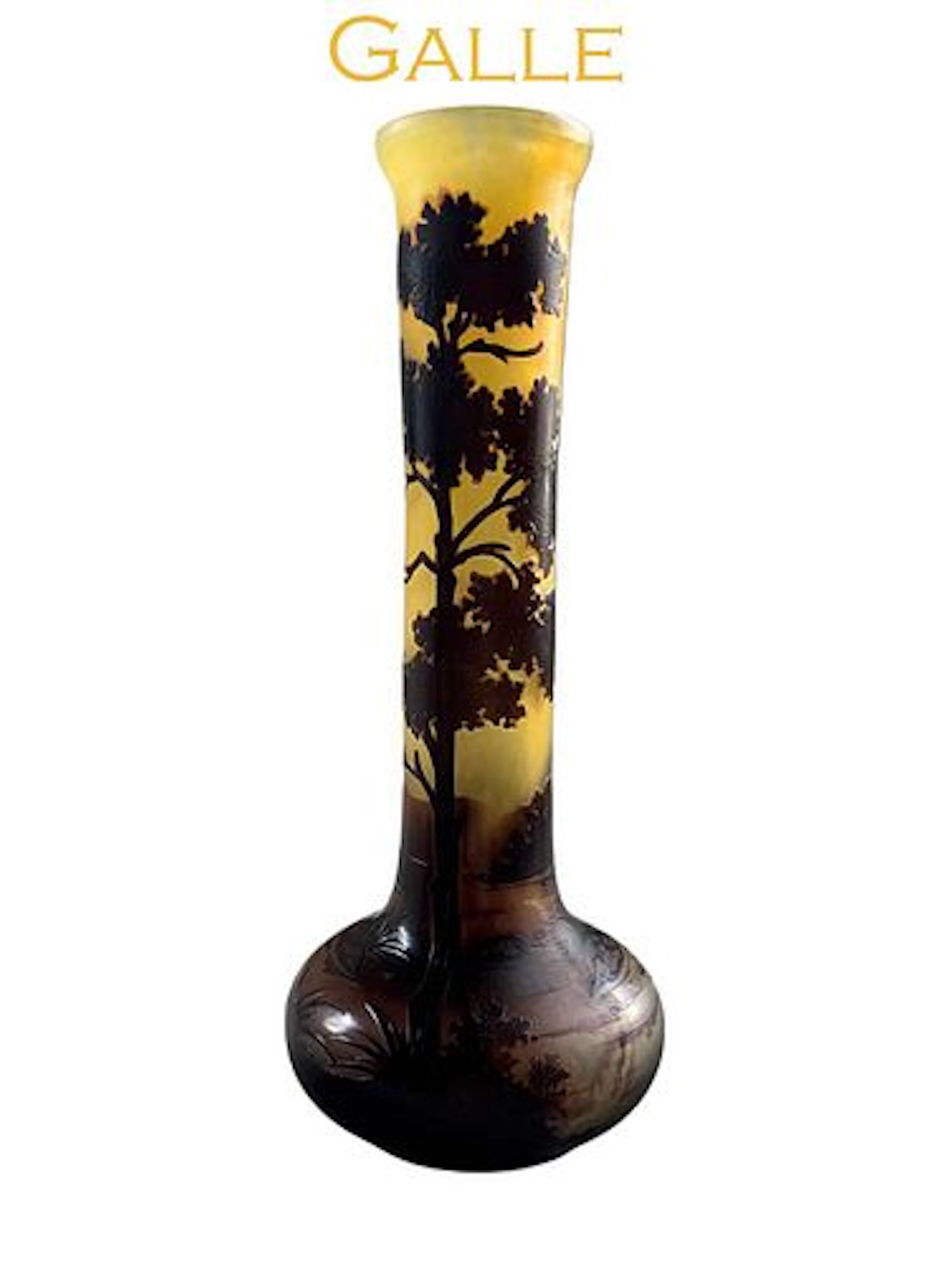 A French After Galle Cameo Art Glass Vase, Signed