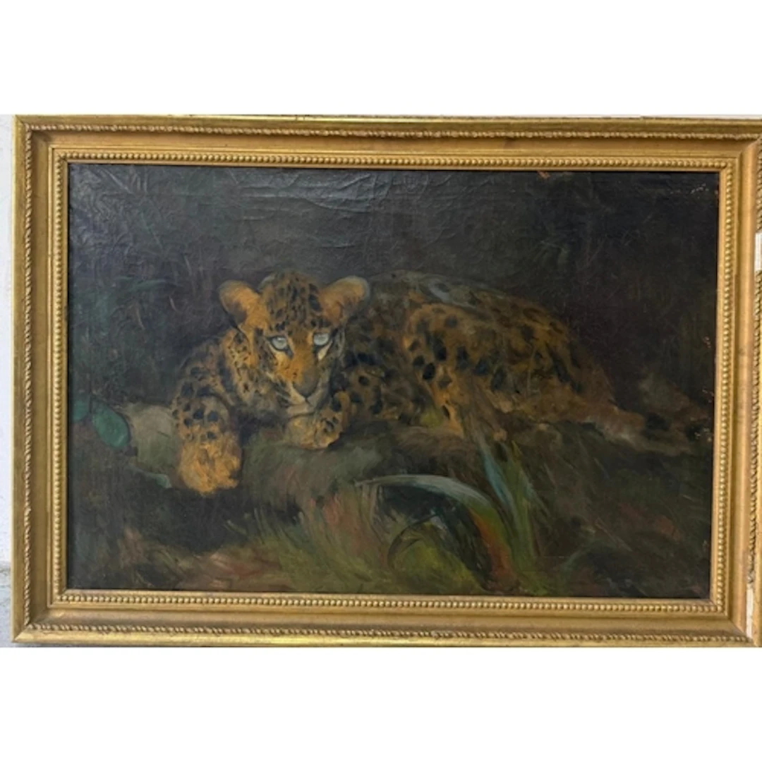 An oil on canvas of a recumbent leopard. 105x76cm
