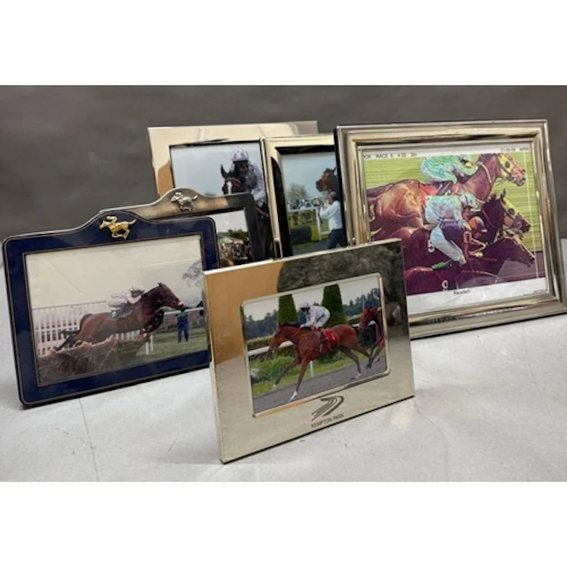 A selection of equine themed photograph frames.