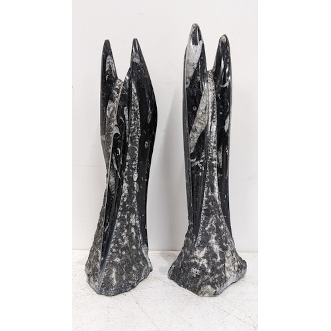 Two freestanding Orthoceras fossil towers, the largest 27cmh...